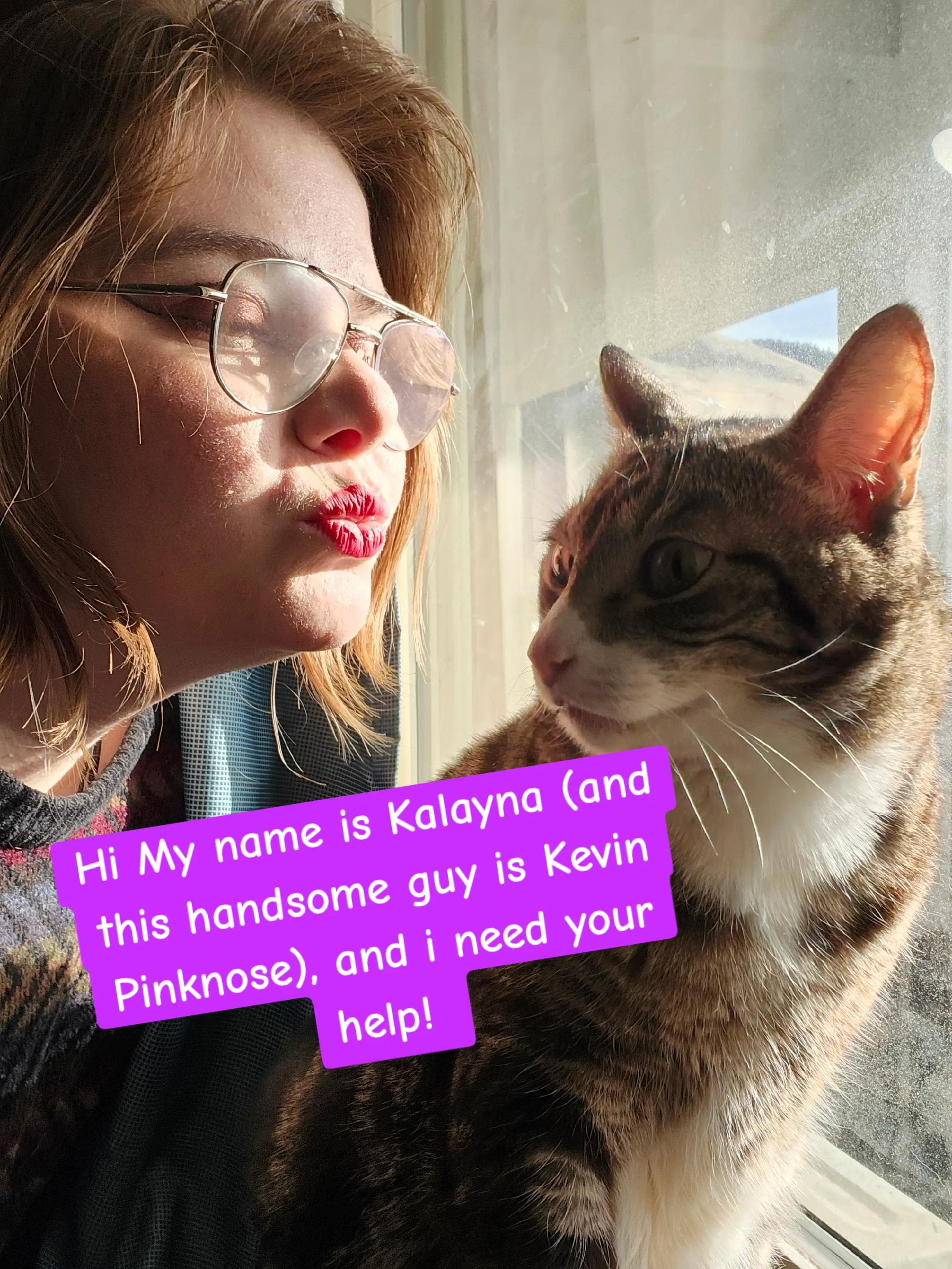 @bunbunthecatsnake