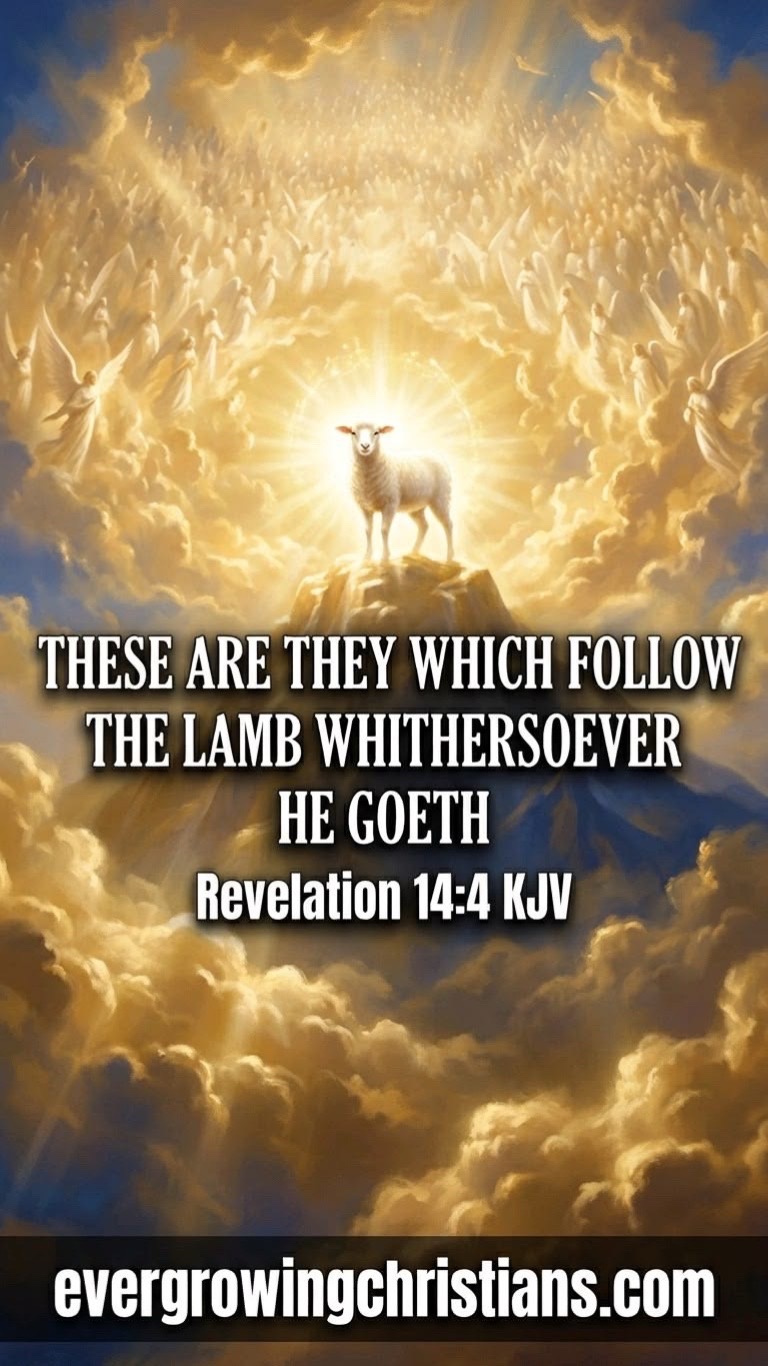 @JESUS CHRIST IS LORD✝️