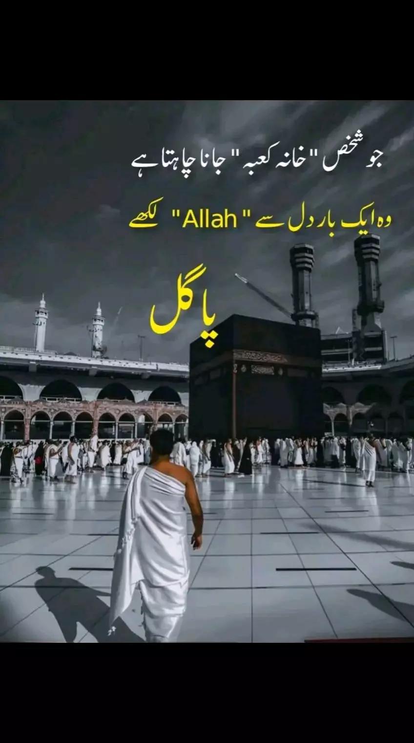 @wahab hu yarr