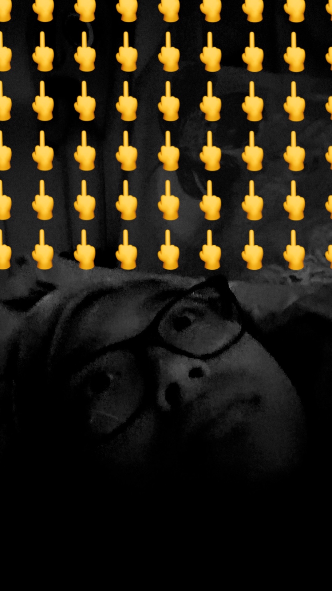 @caitlyn⦻