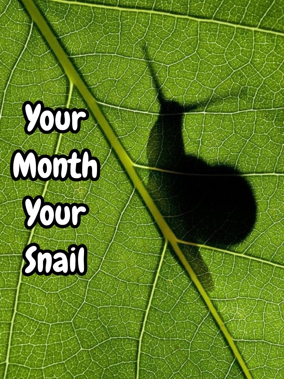 @mossball