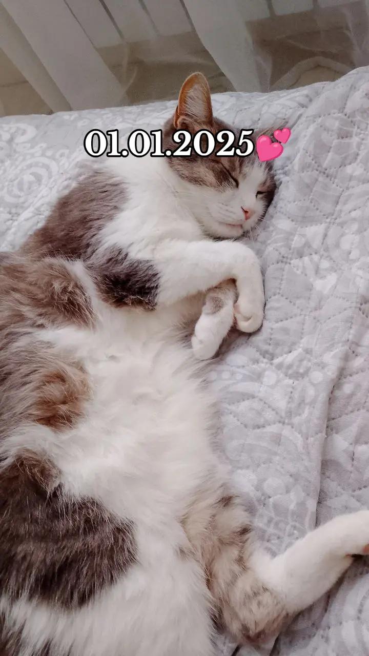 @сашуляя