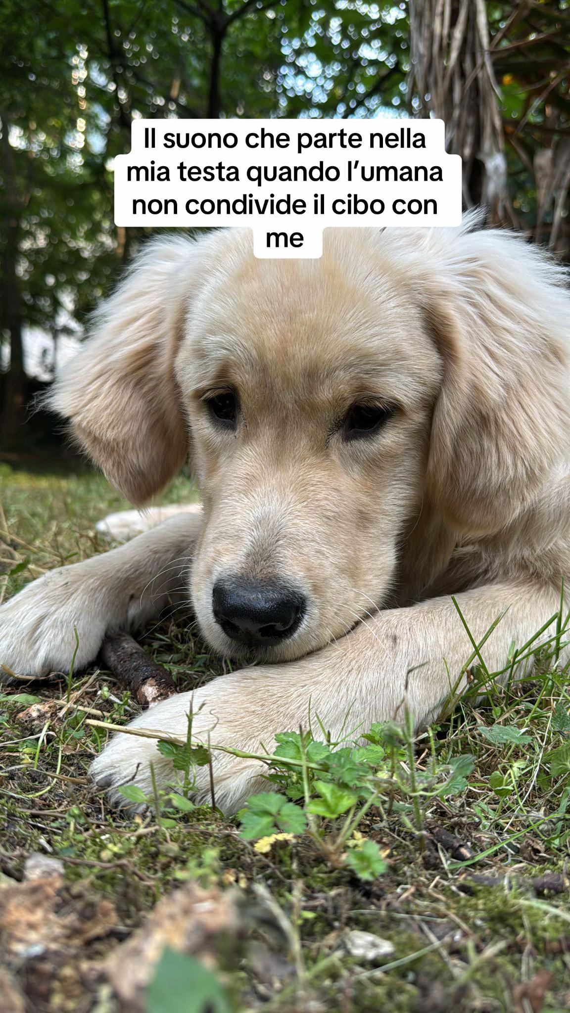 @Raffa&Cali