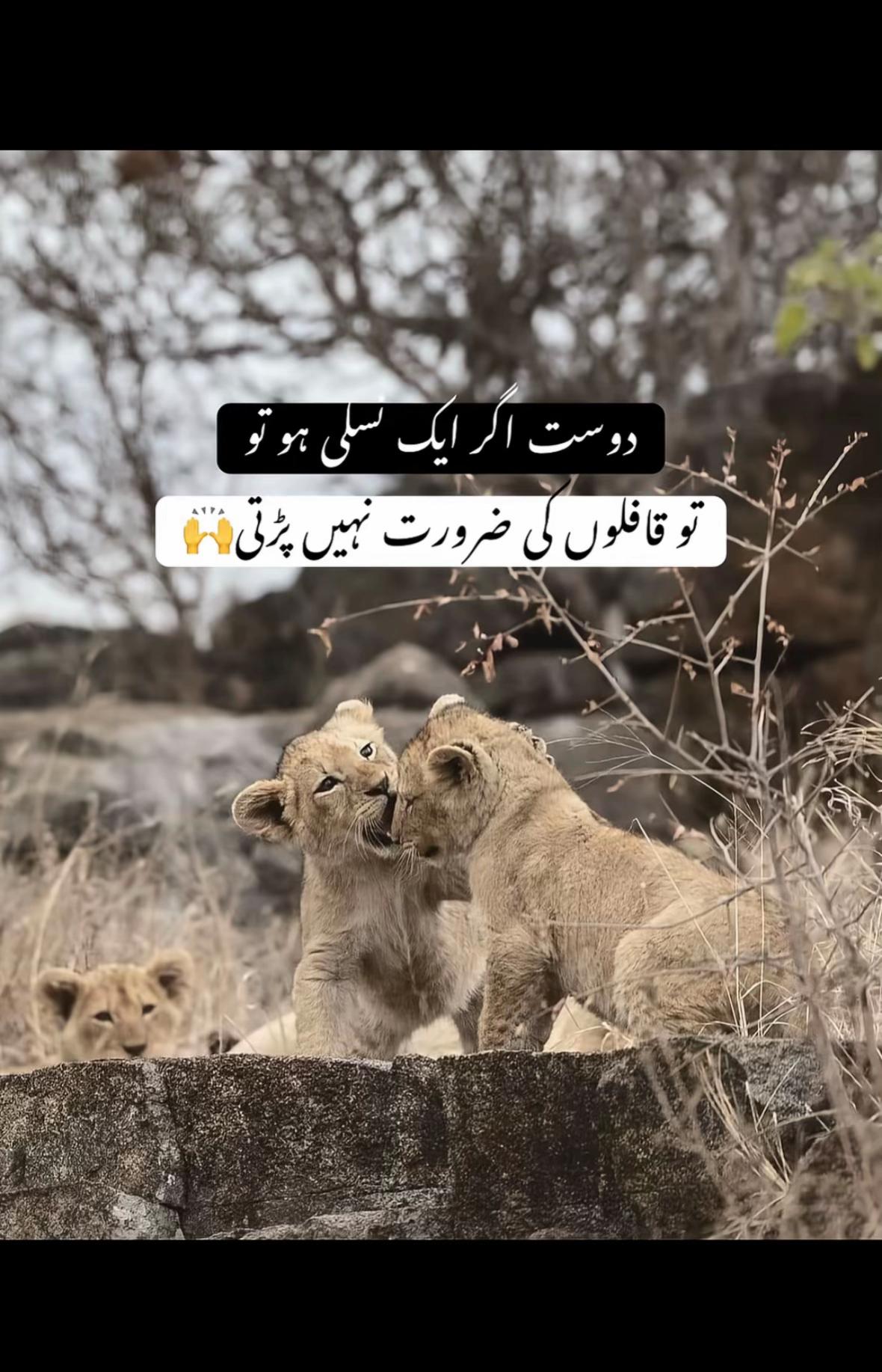 @⚔️SARDAR⚔️