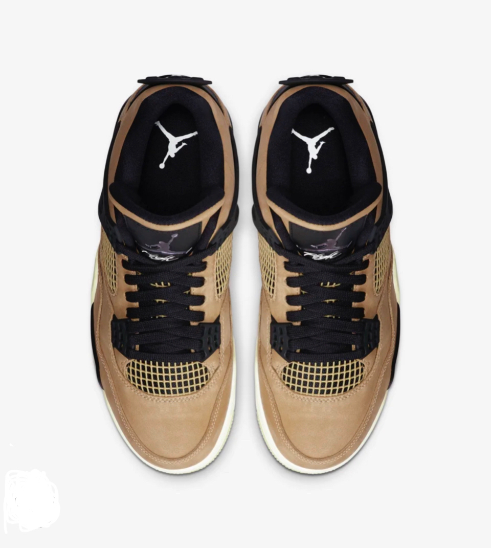 @shoekicks