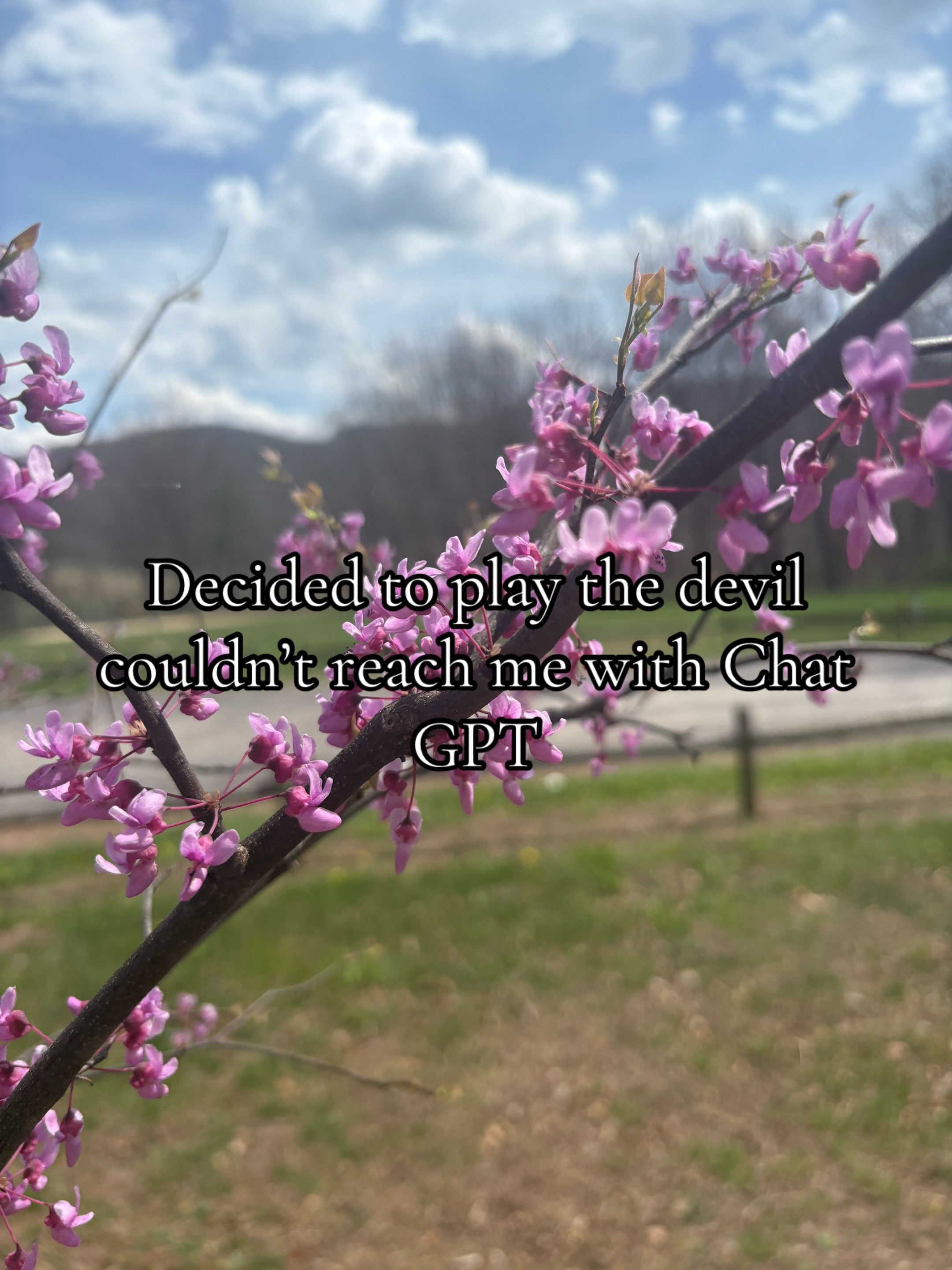@🐄𝕊𝕙𝕪𝕒𝕟𝕟🌻