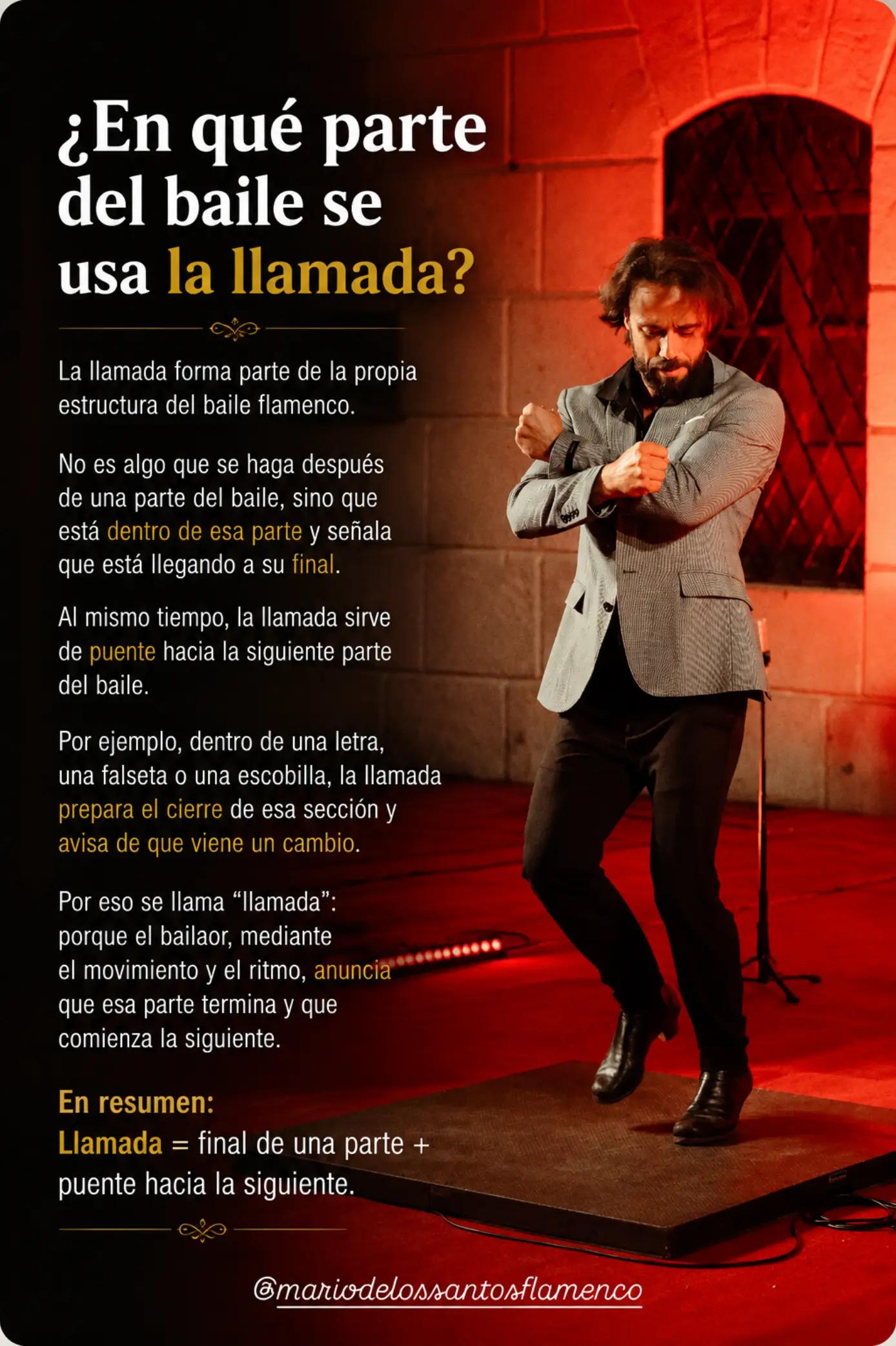 @Mario de los Santos Flamenco