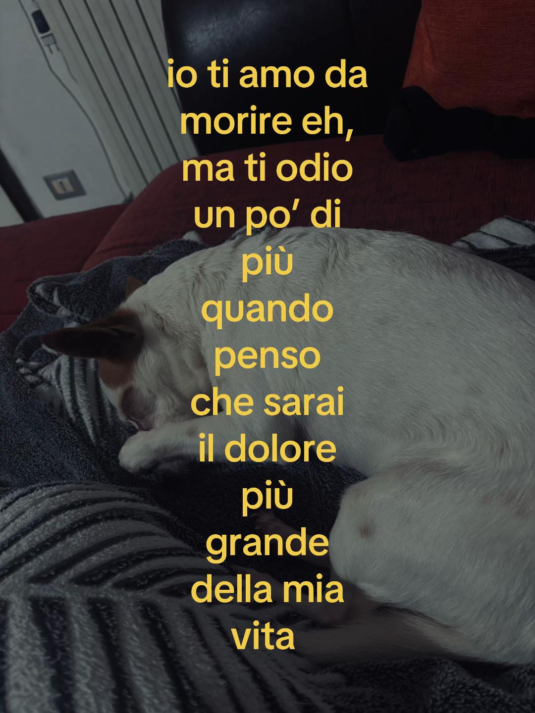 @𝑒𝓋𝒶