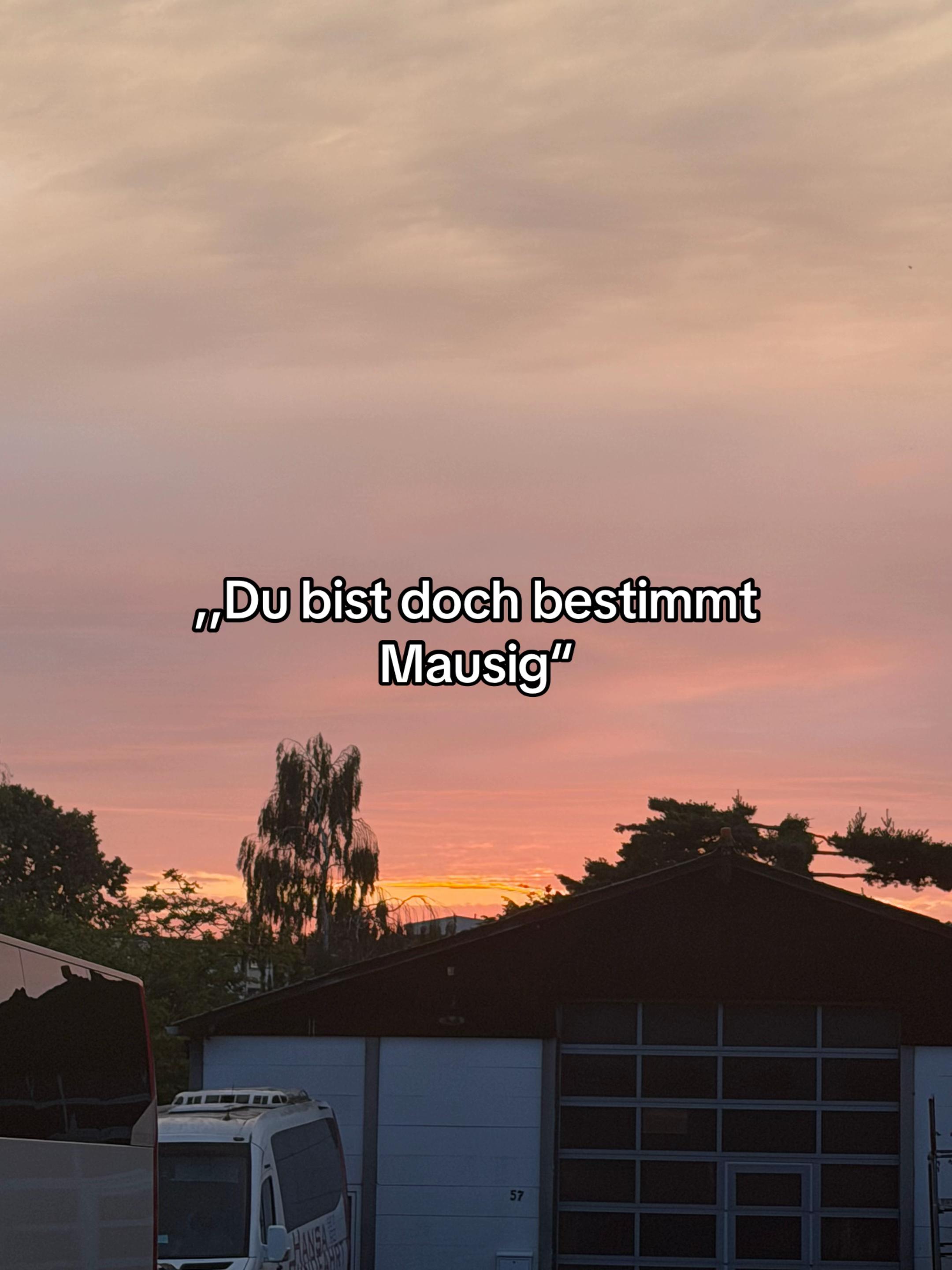 @ℒℯ𝓃𝒾 🌺