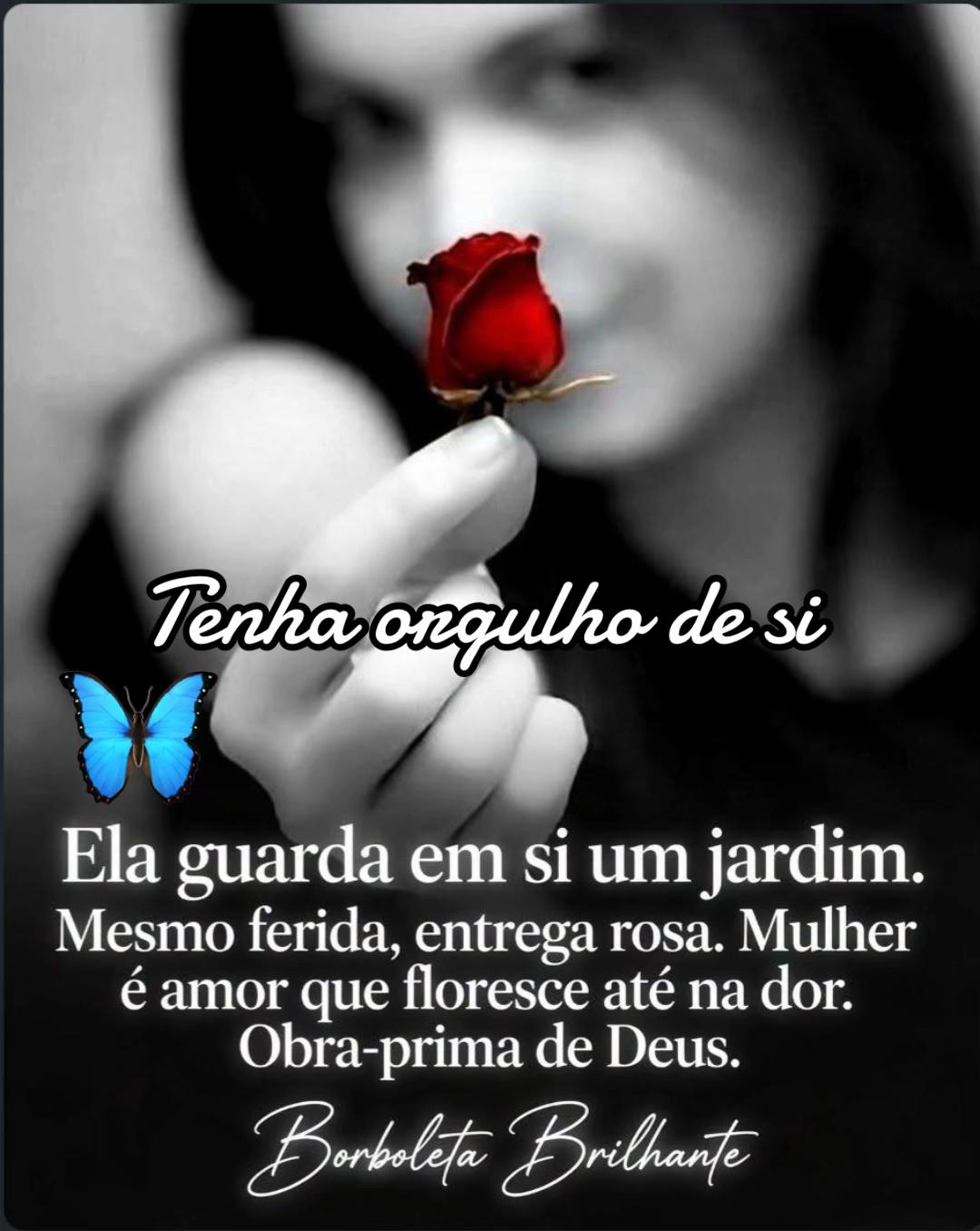 @borboleta2867