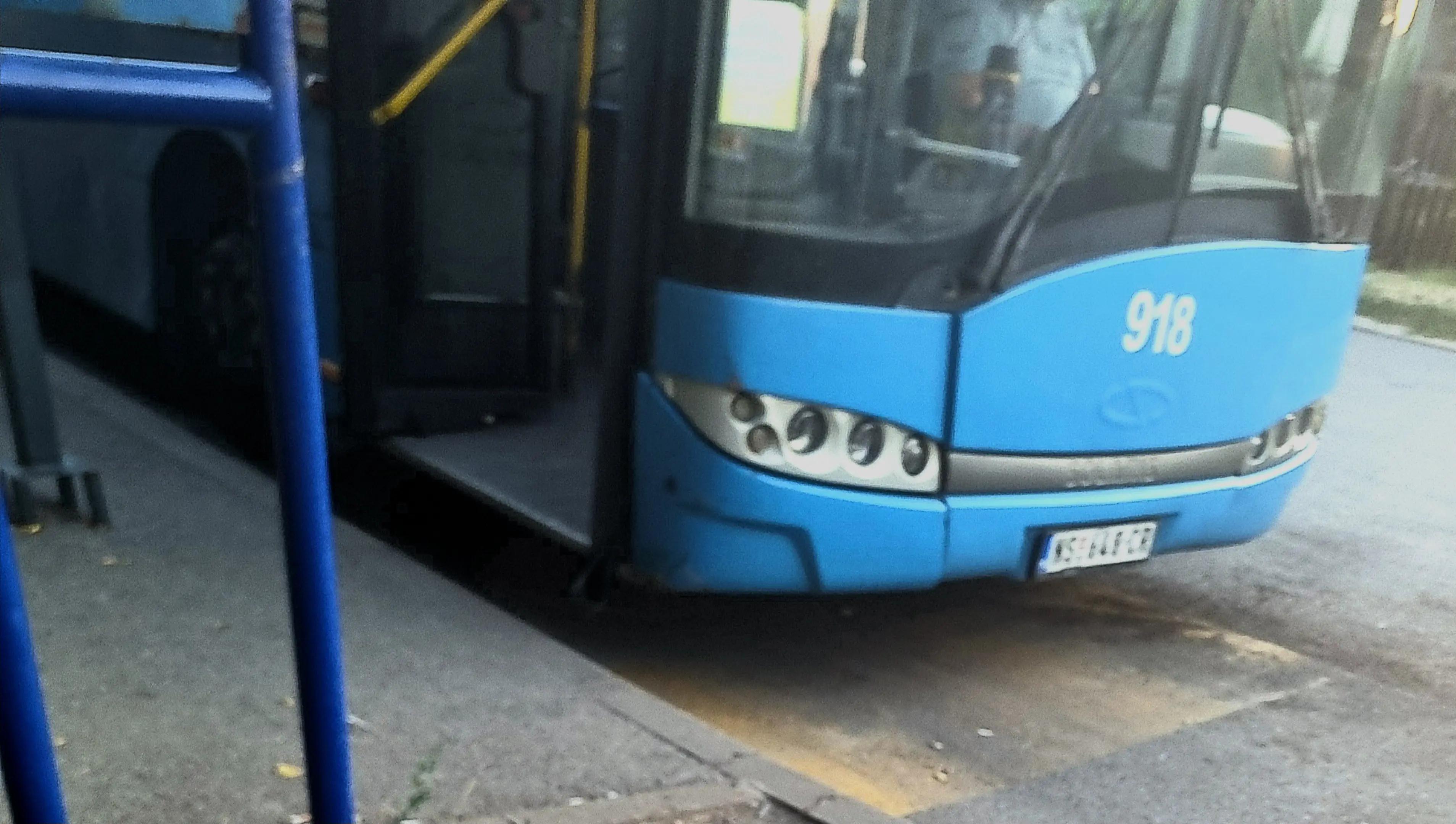 @danijel bus lover