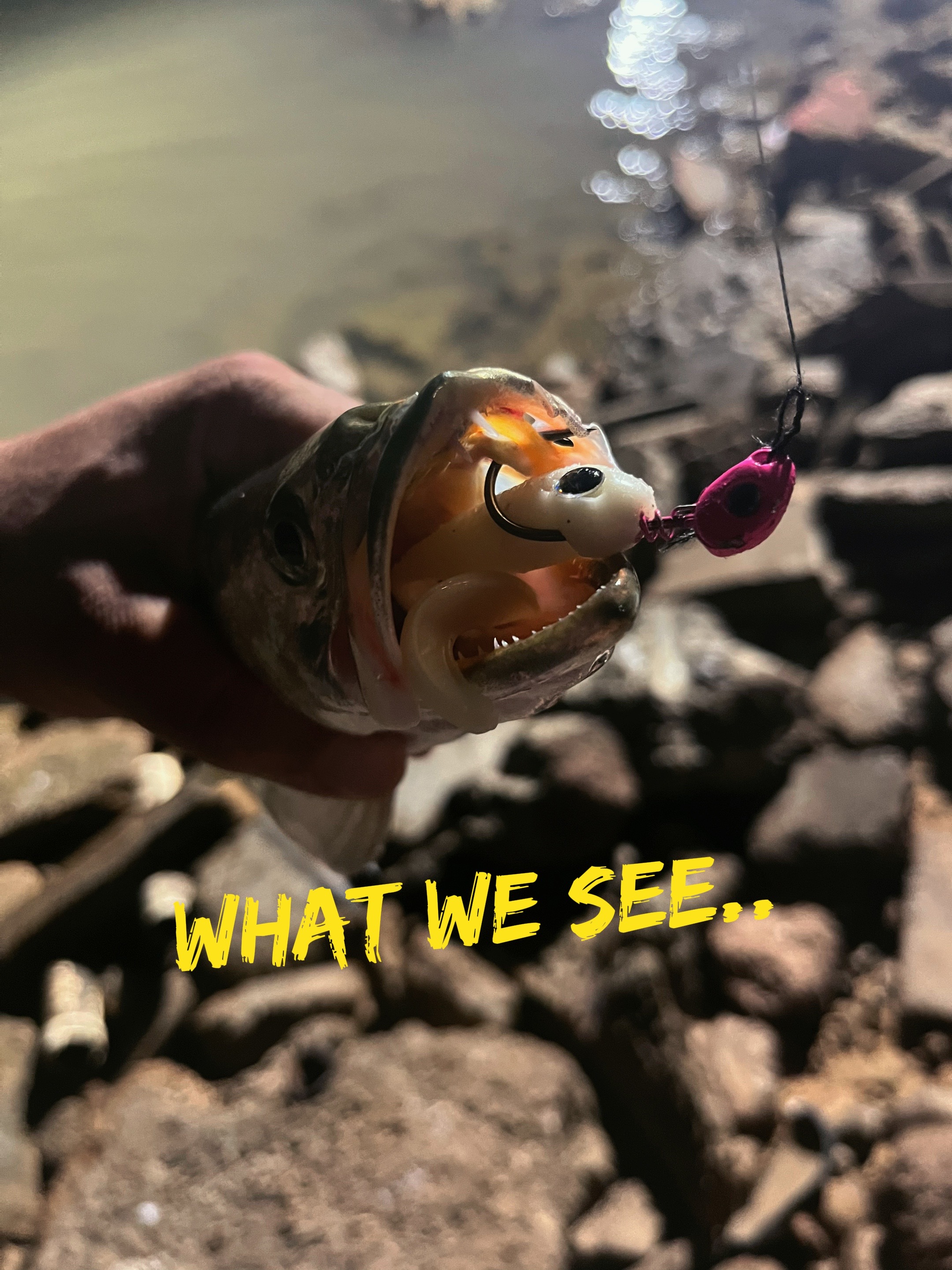 @Miko Lures LLC