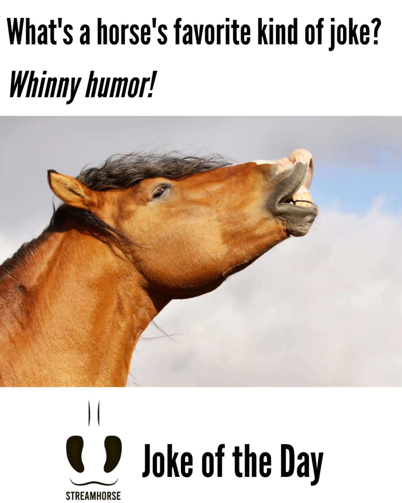@streamhorse