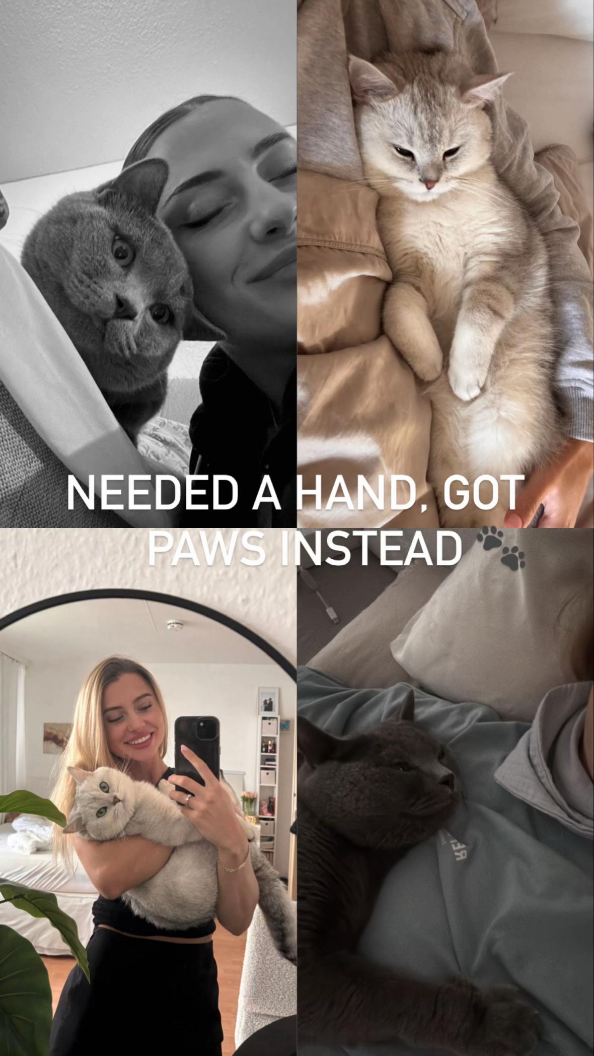 @itslauuu