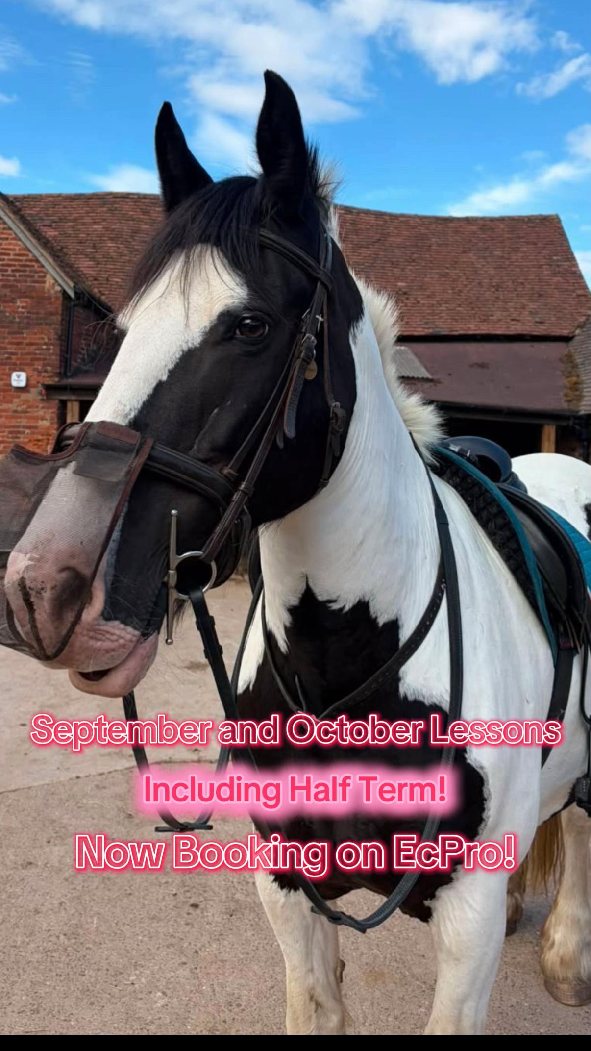 @Moor Farm Stables