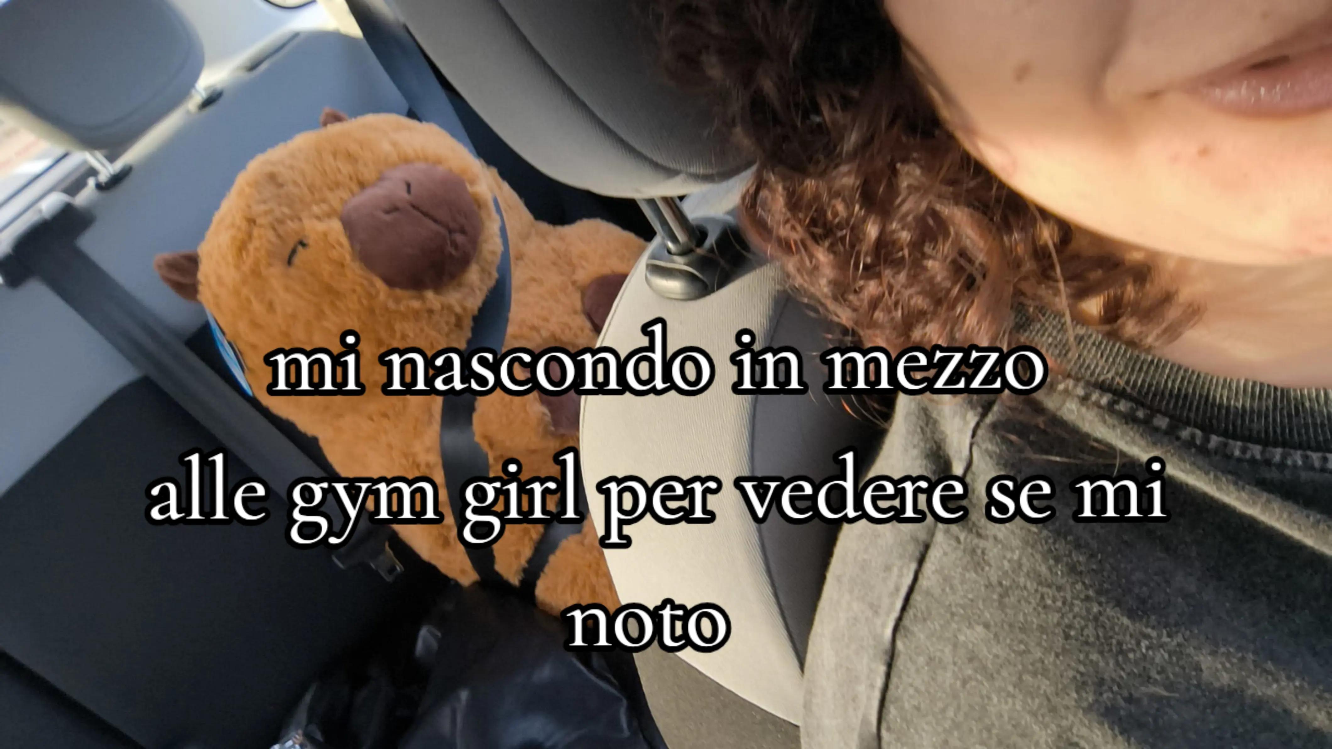@anto