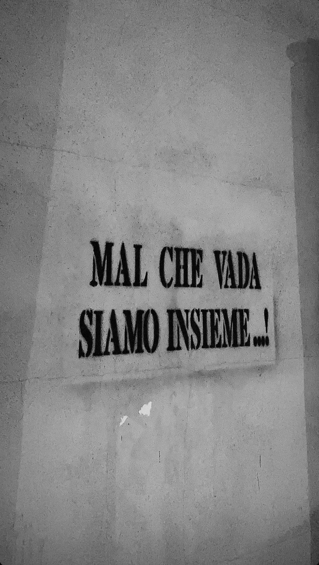 @Cecilia🍒🪩