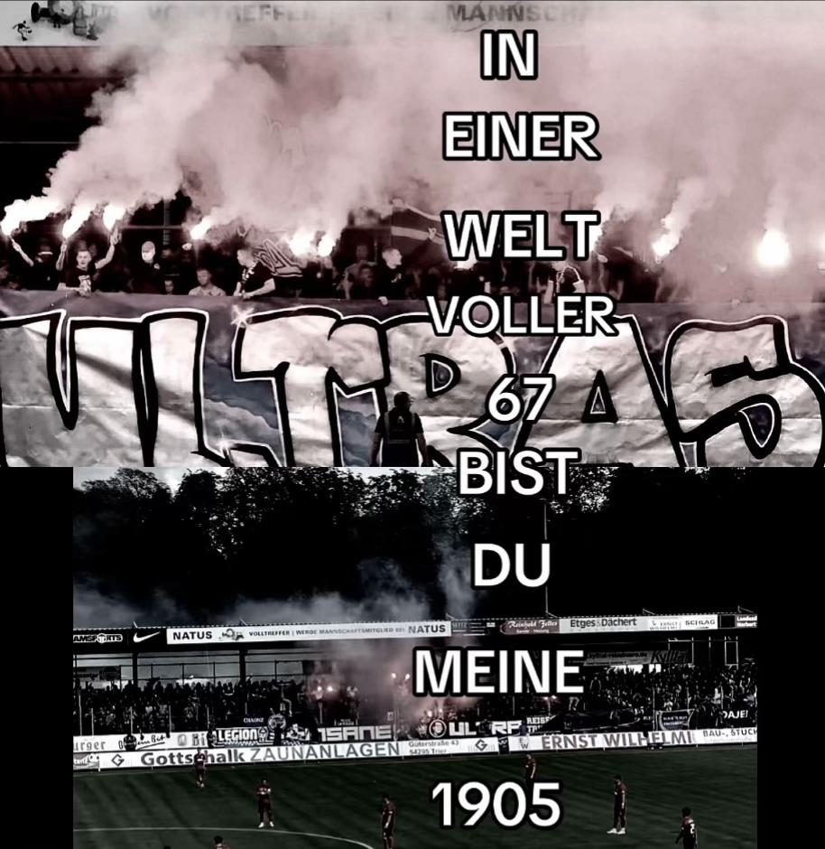 @54_Luca