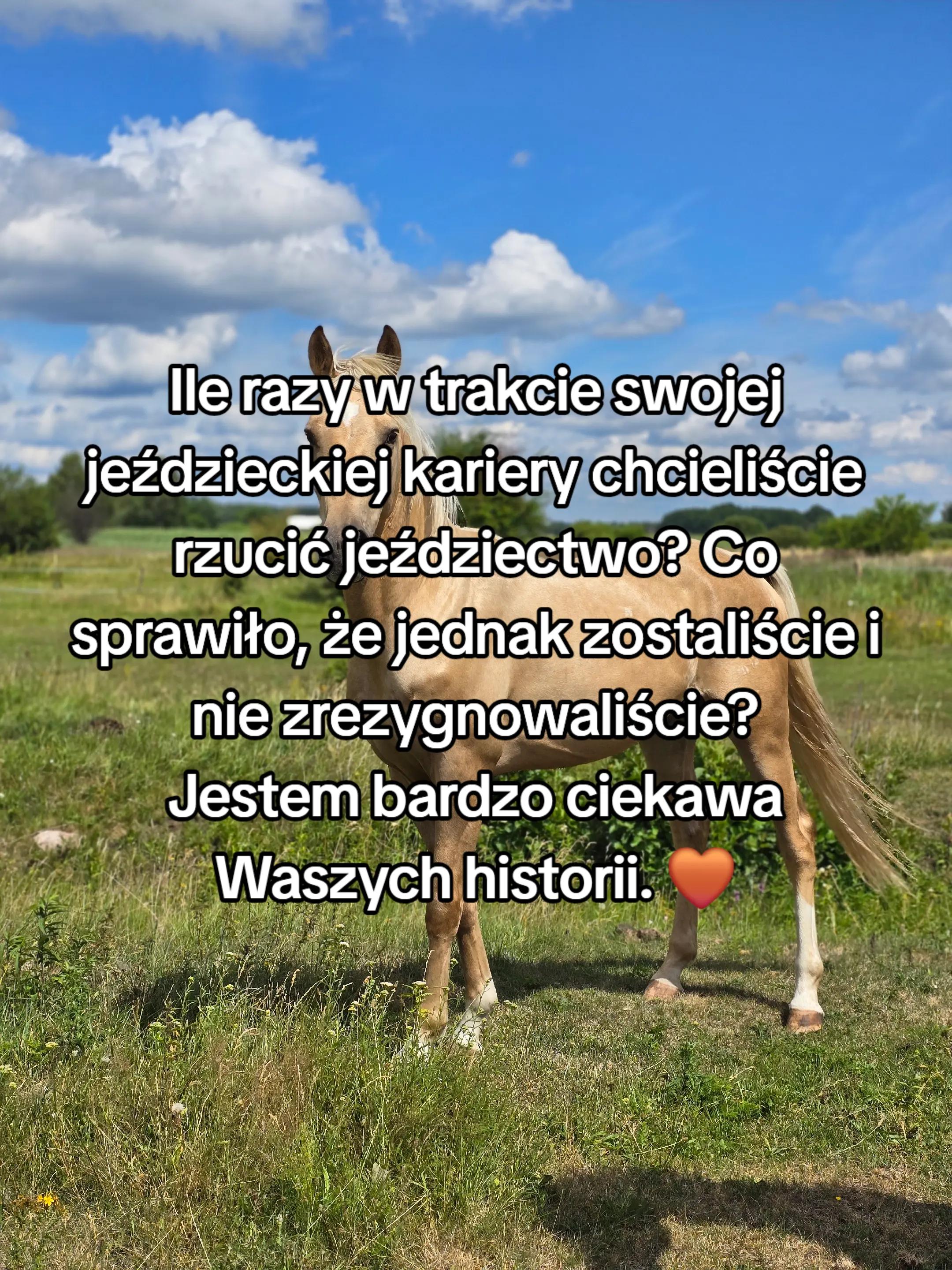 @Boston i przyjaciele