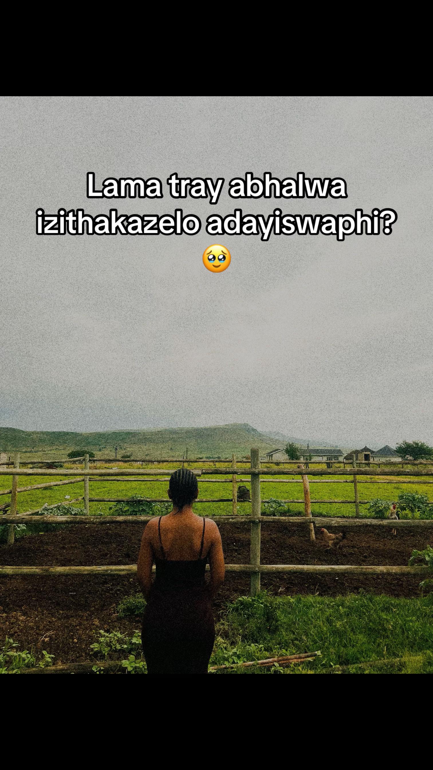 @kayzeeMazibuko🐃