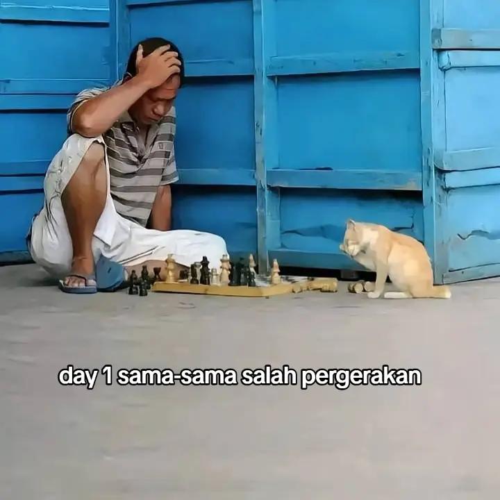 @sapi terbang