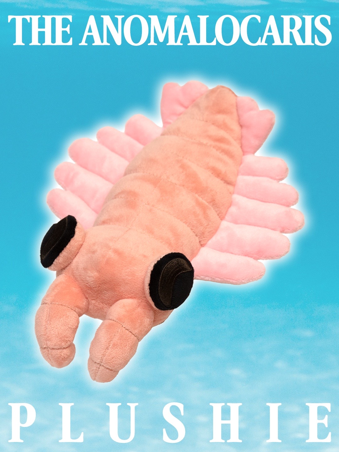@sneepsnorp3d