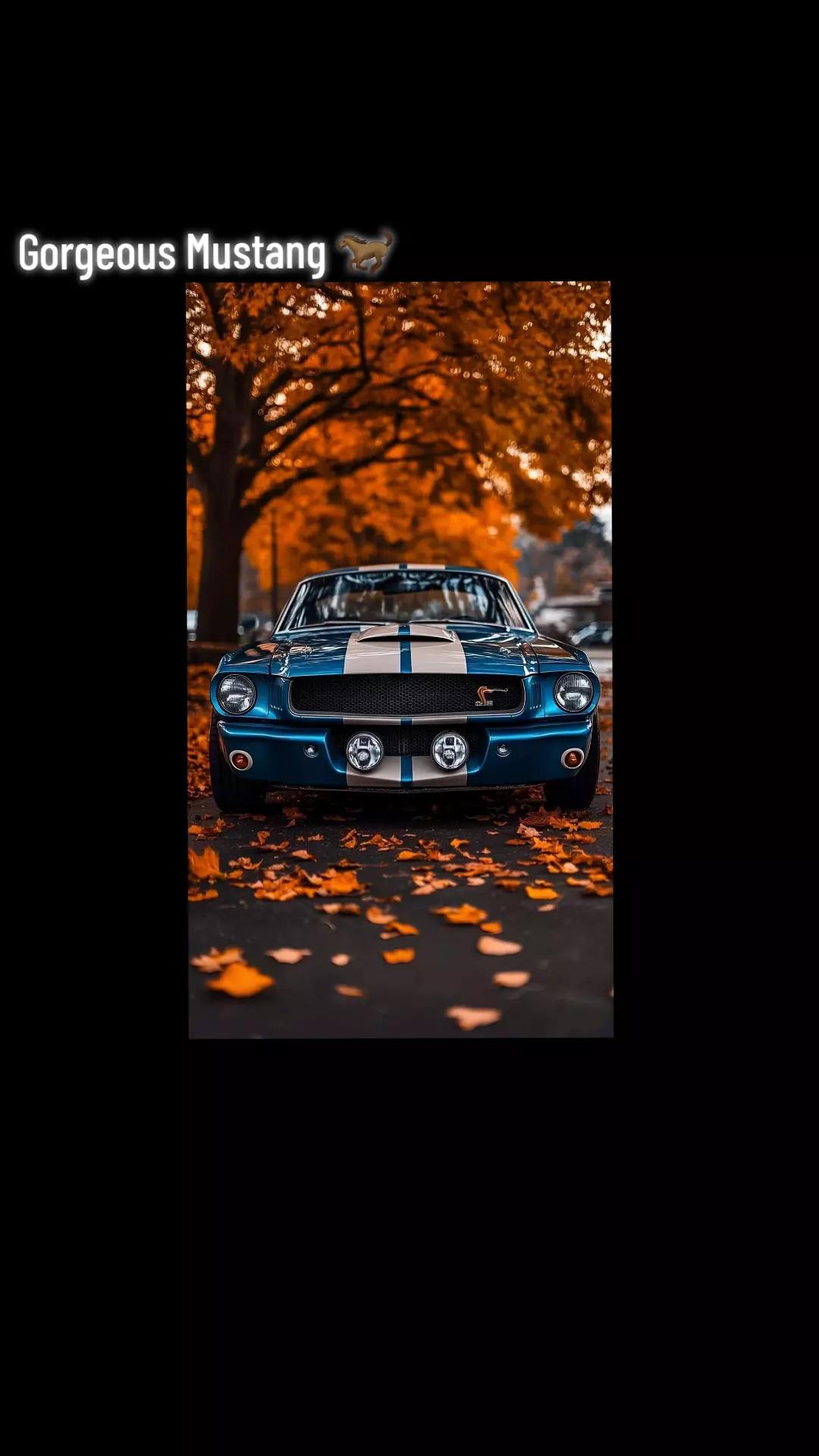 @Rare Classic cars🔹️