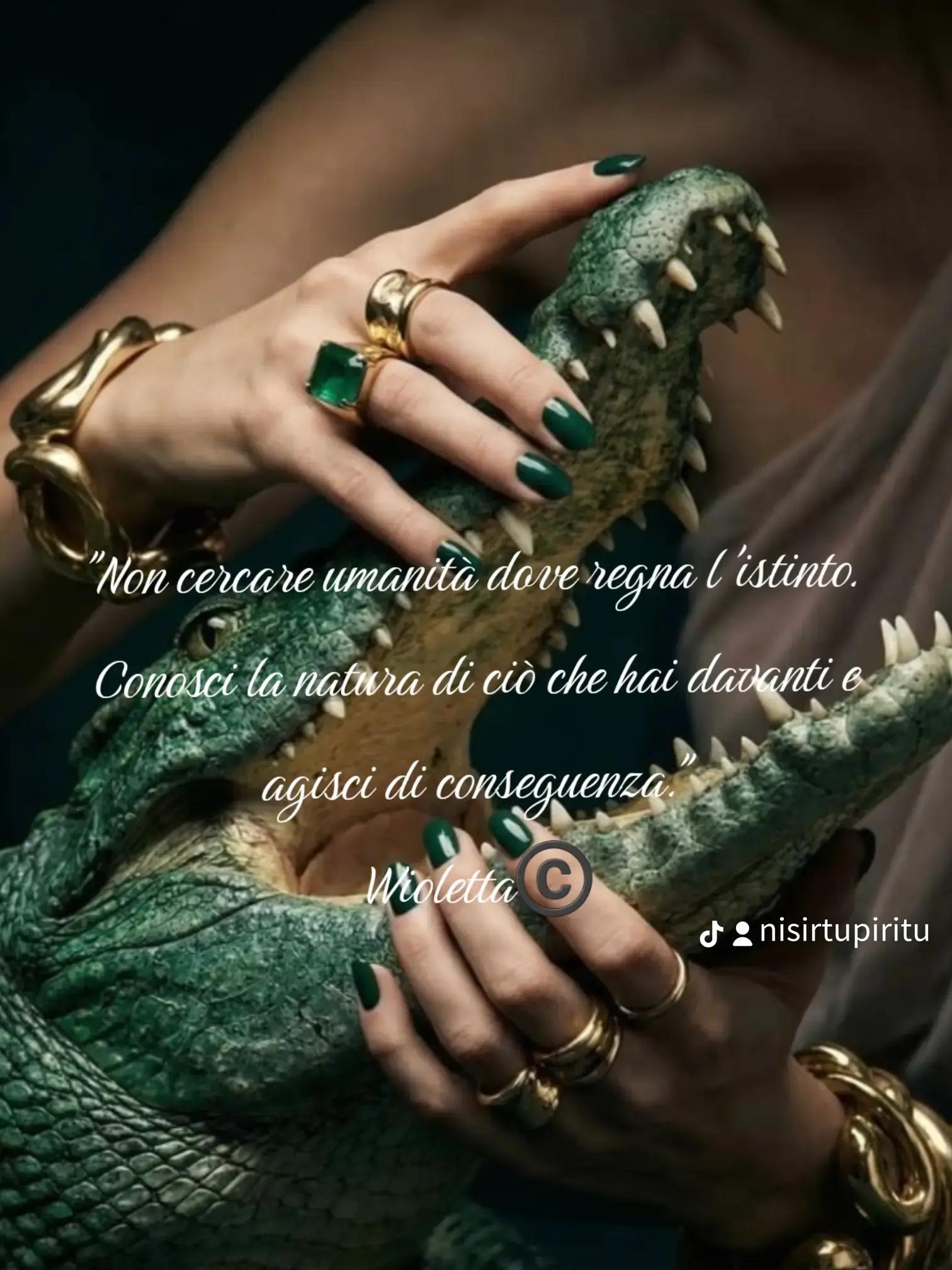 @Wioletta