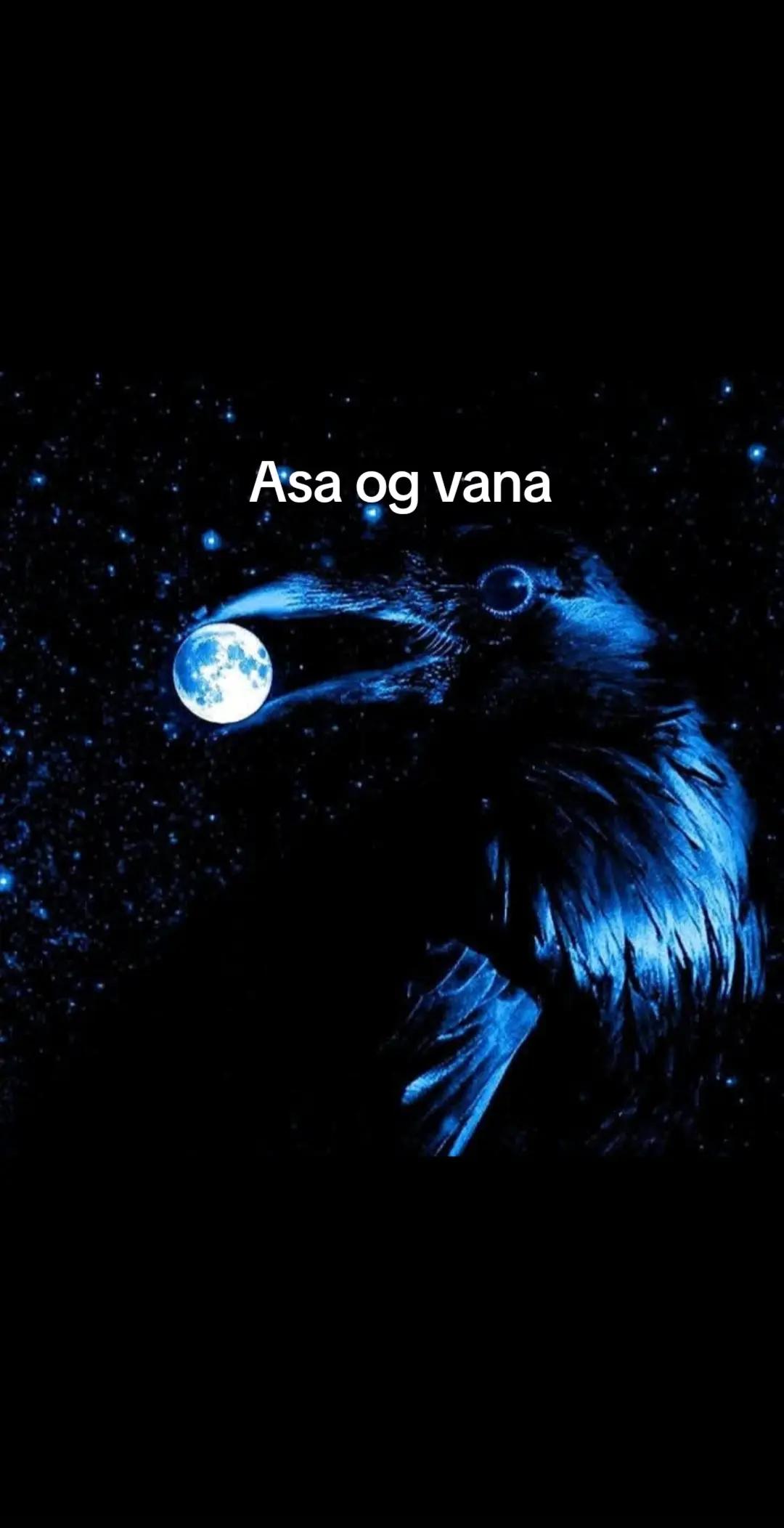 @Old man Berserker🪓Úlfheđnar