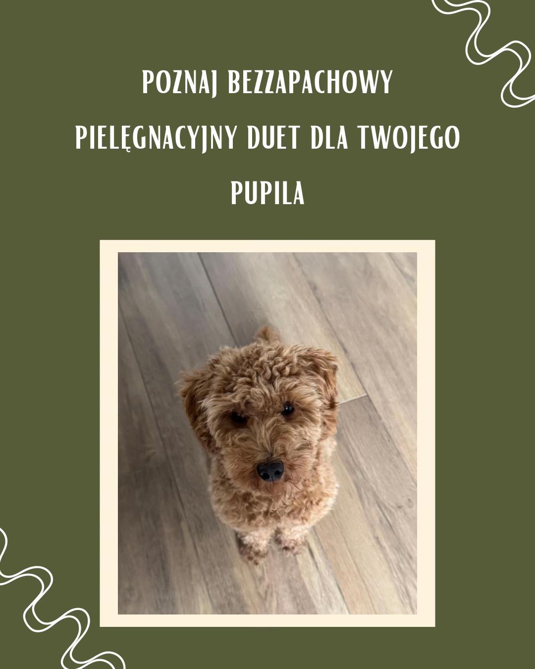 @alg.borje