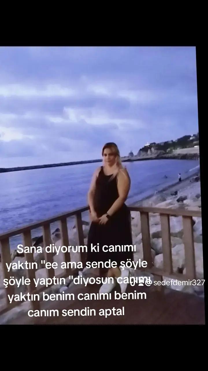 @sedef demir