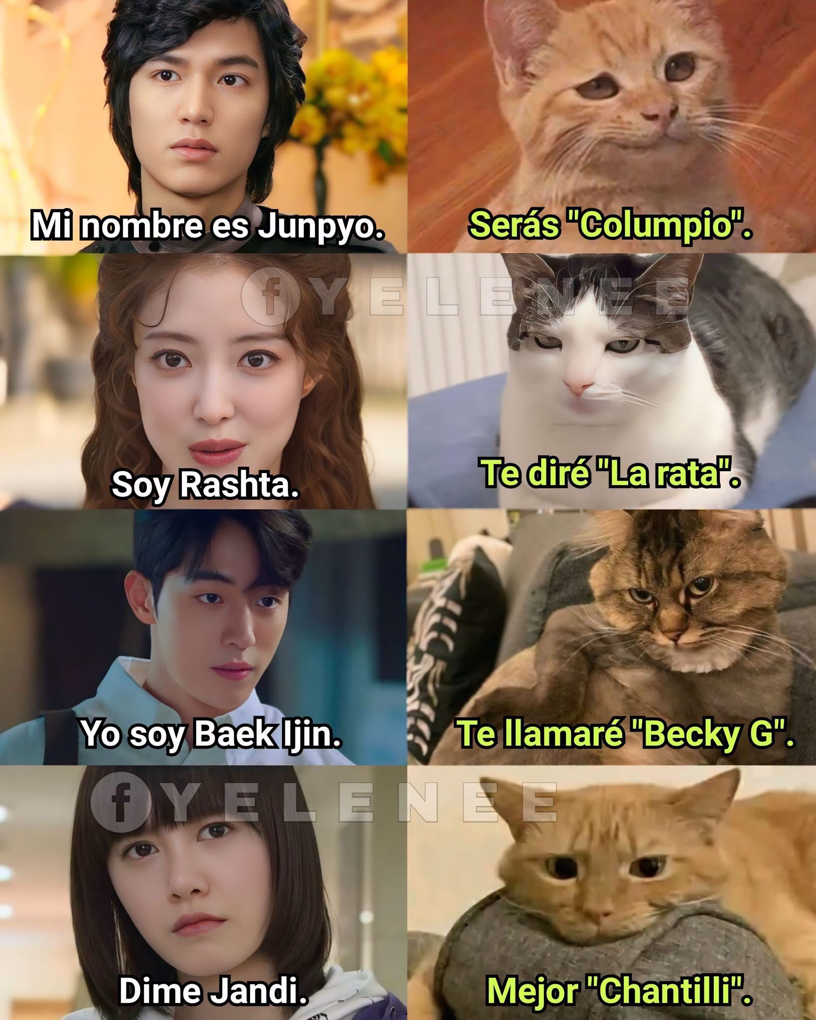 @kdramalover1994
