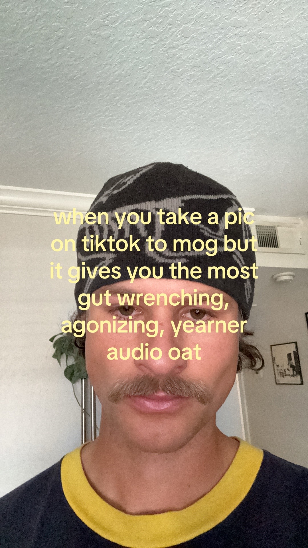 @shane