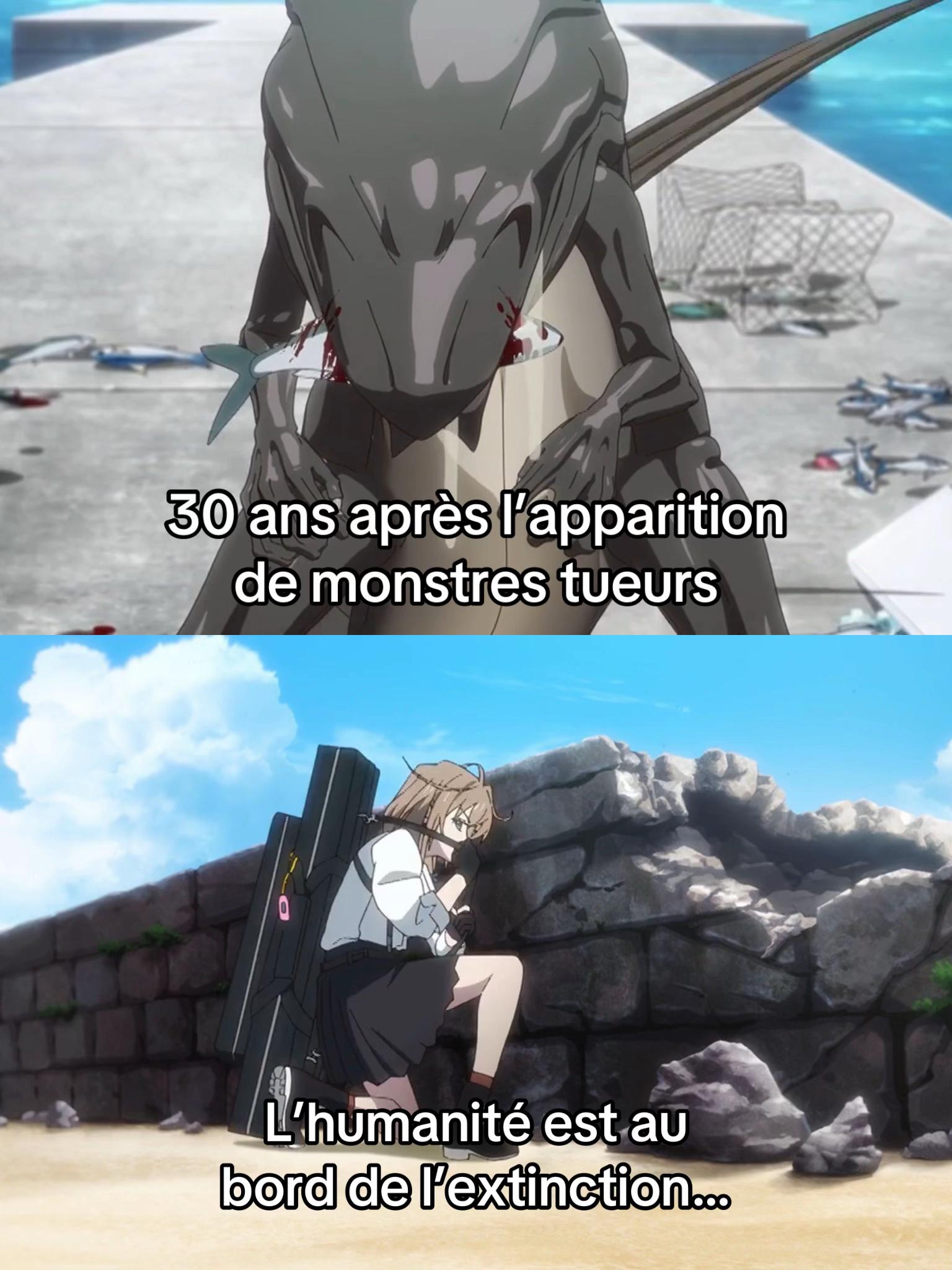 @Animecrew