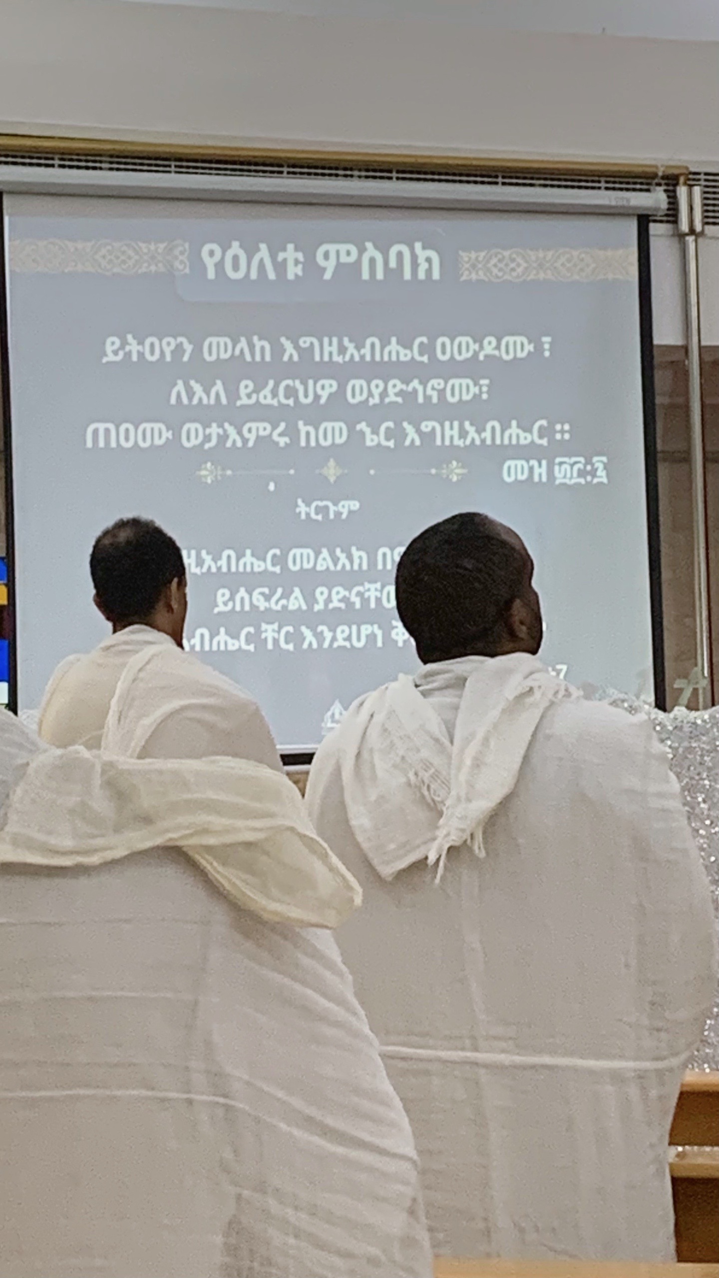 @Frezer Bekele