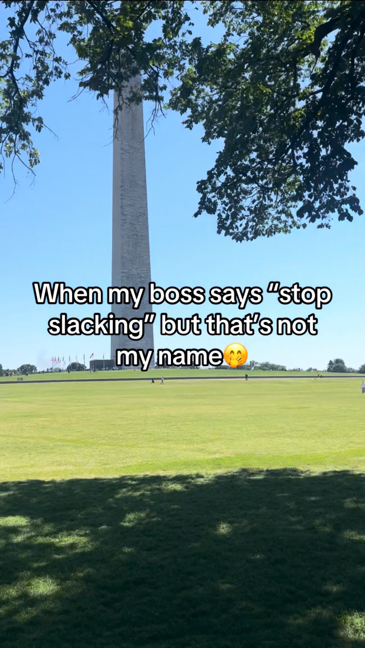@IWantToMowYourLawn
