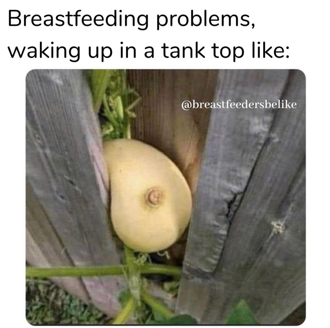 @mimiandpal