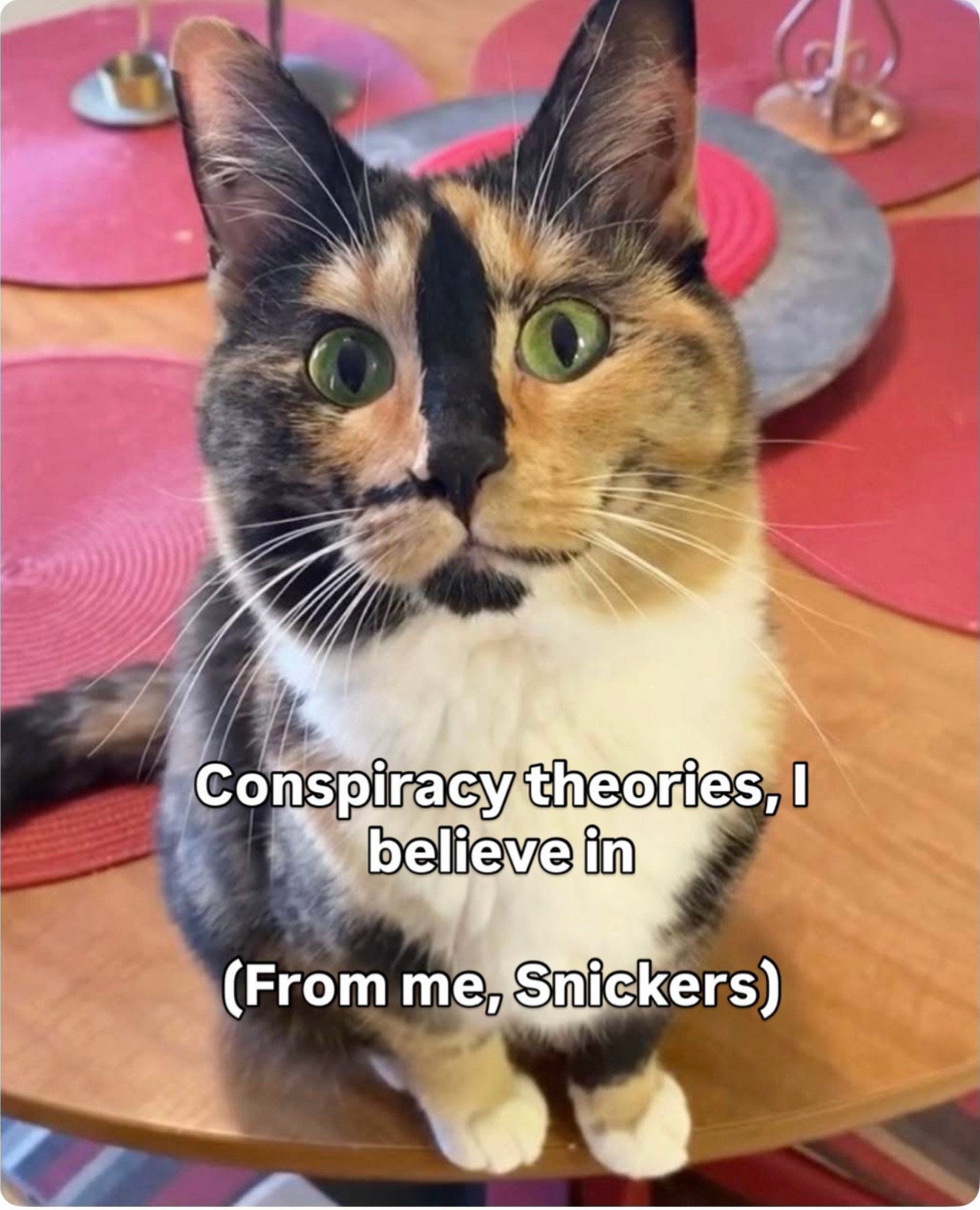 @SnickersTheSmilingCat