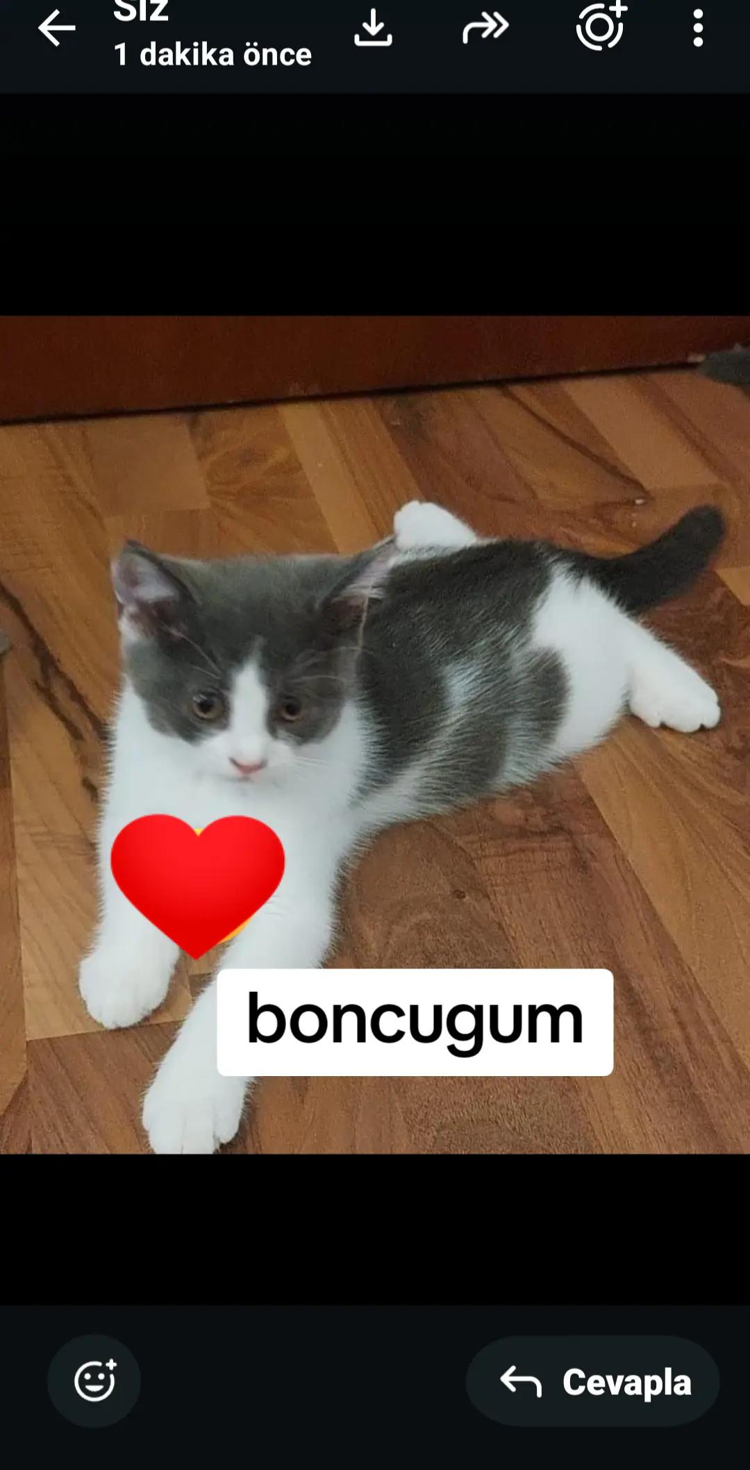 @Ceren_58