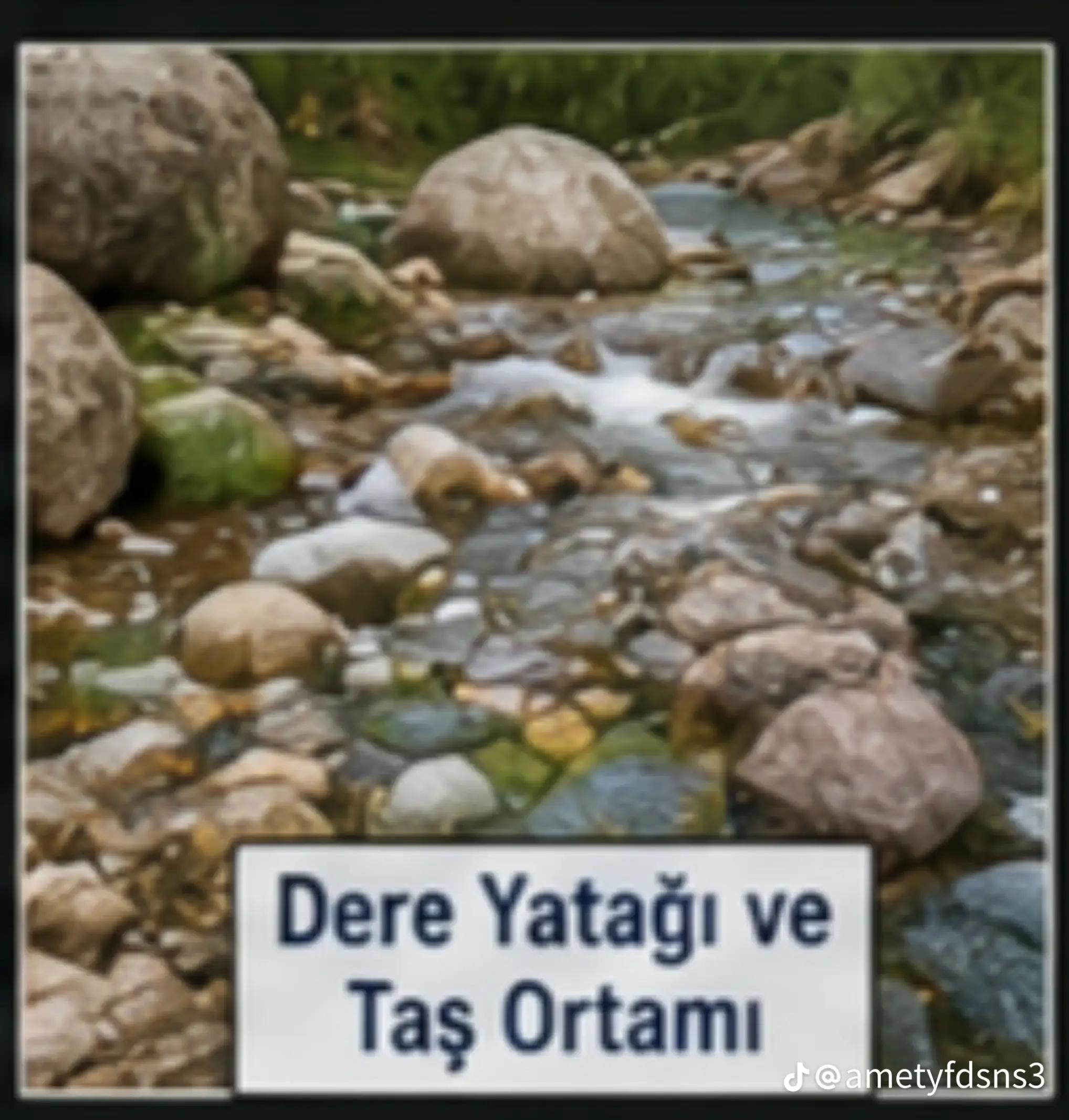 @🕯️🕉️⚕️DENİZ TAROT⚕️☯️🕯️
