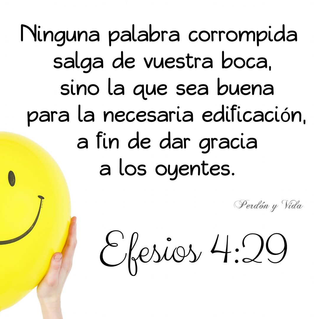 @Perd&oacute;n y Vida