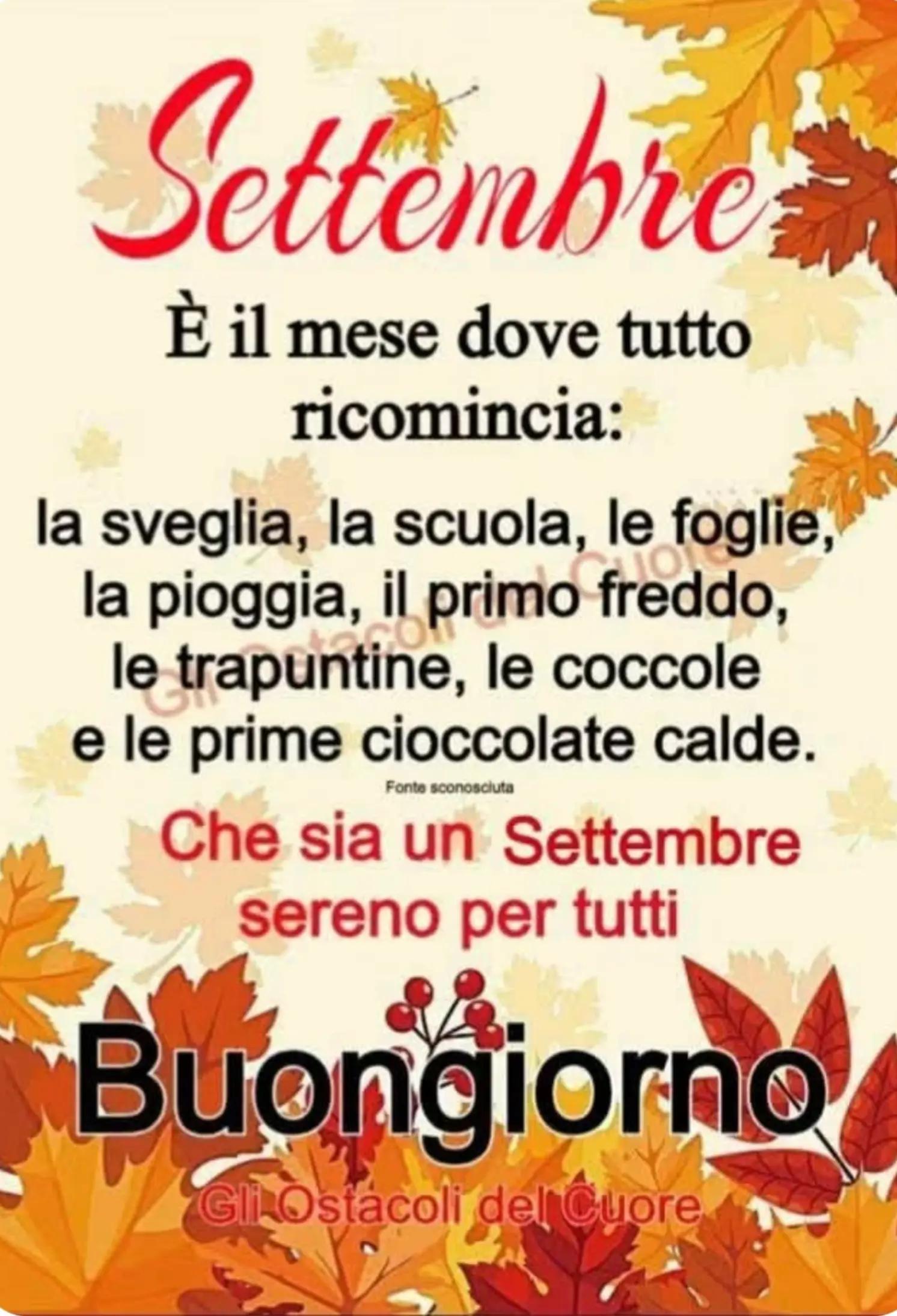 @elviracaldarulo