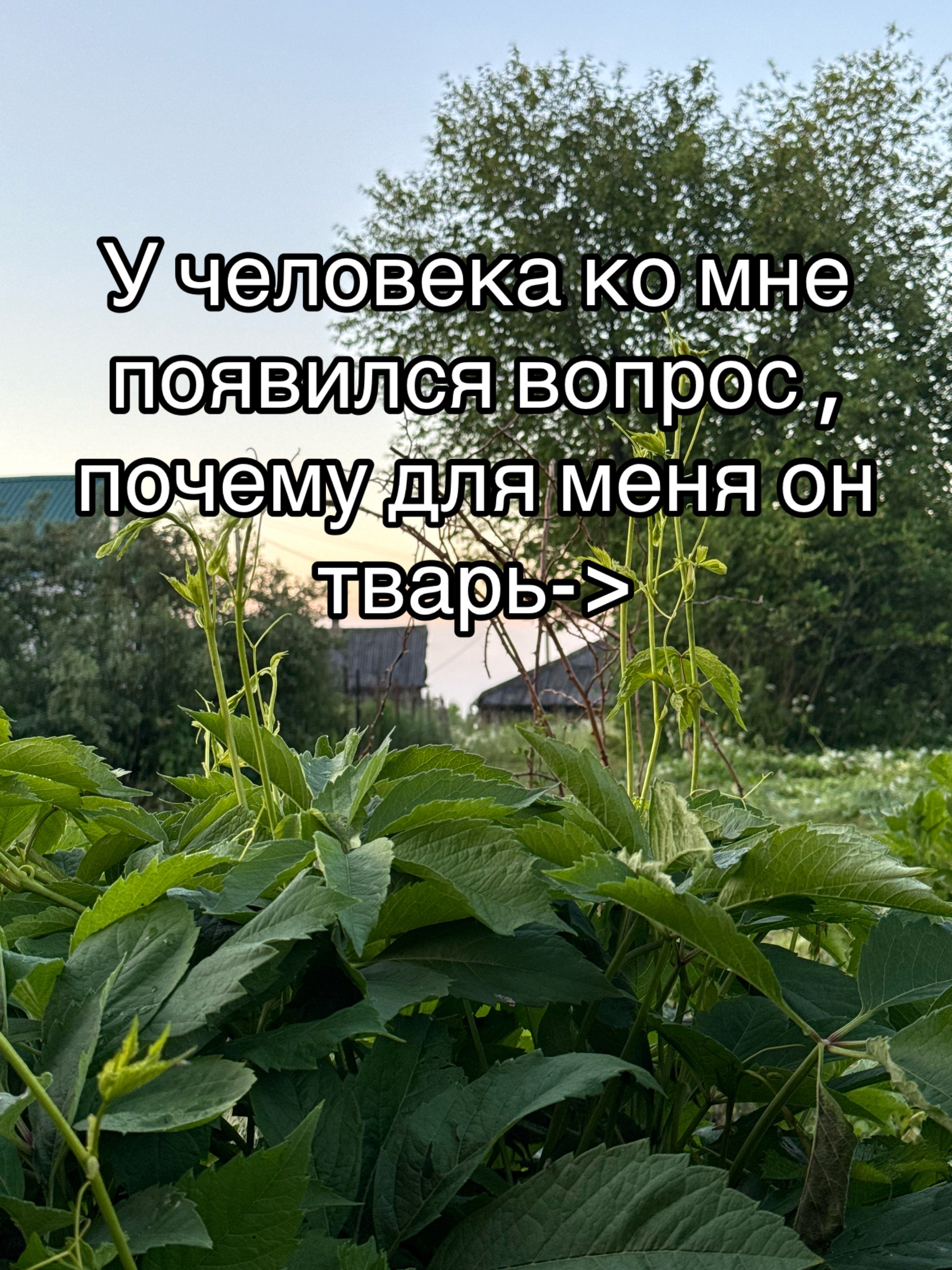 @Ксения Кимонова