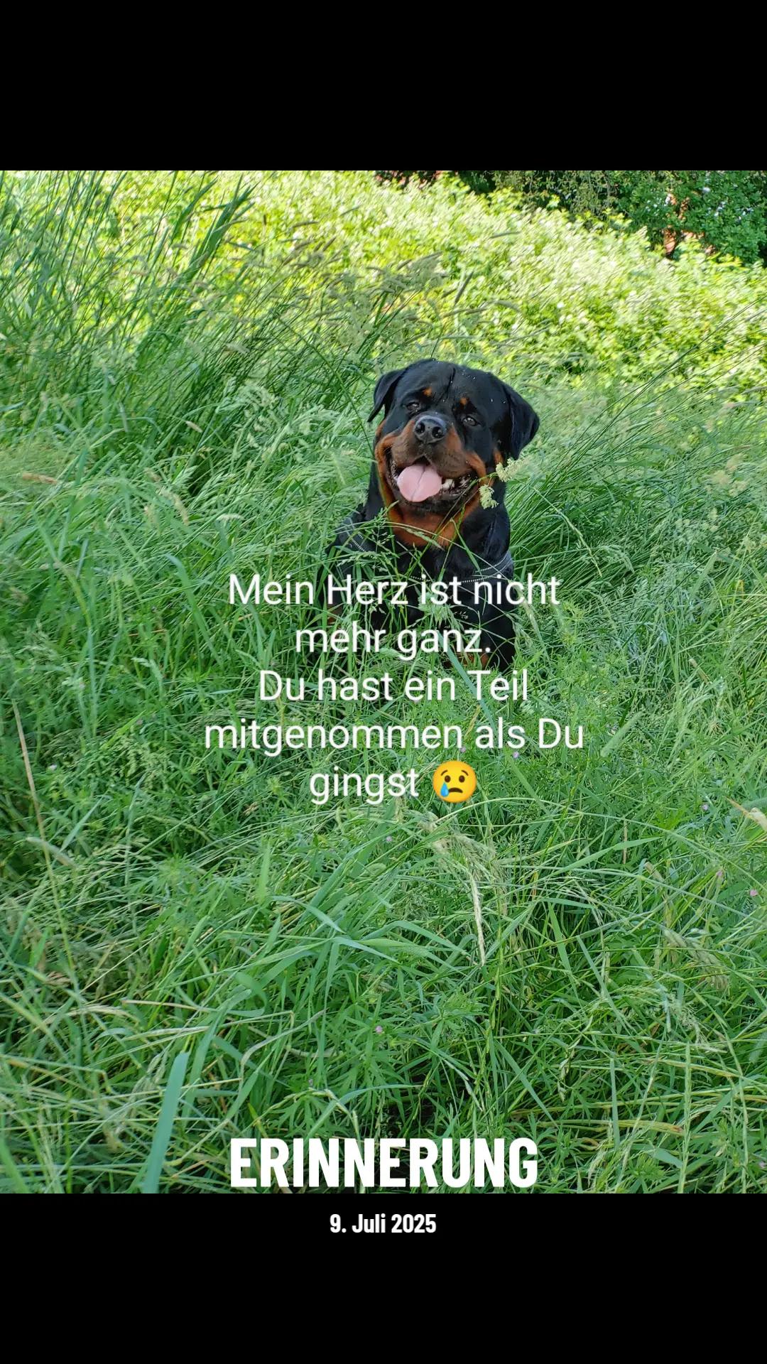 @Nicole❤️Schröder🖤Kowalski ❤️