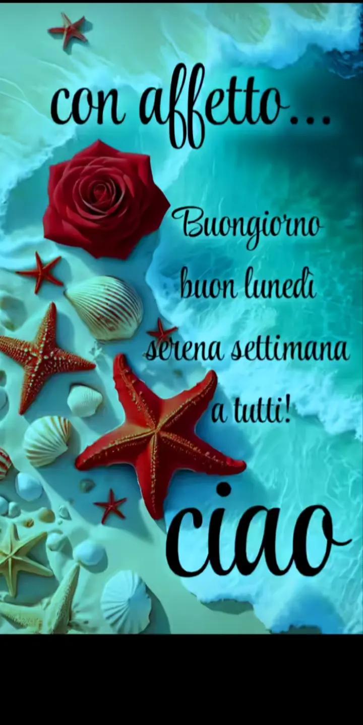 @maria grazia bersanetti