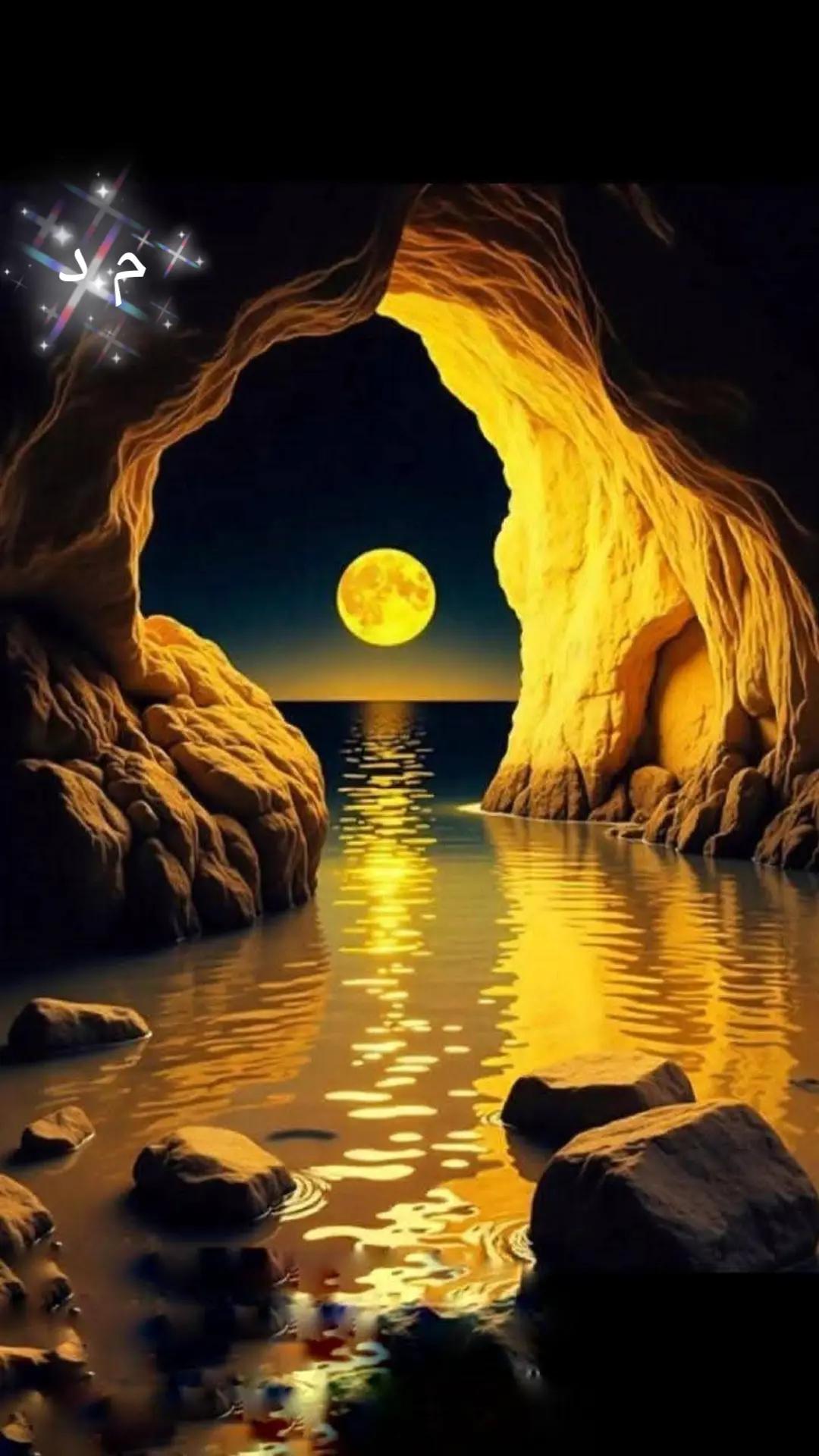 @mondher debichi🇹🇳🇲🇫🫶🫶❤️