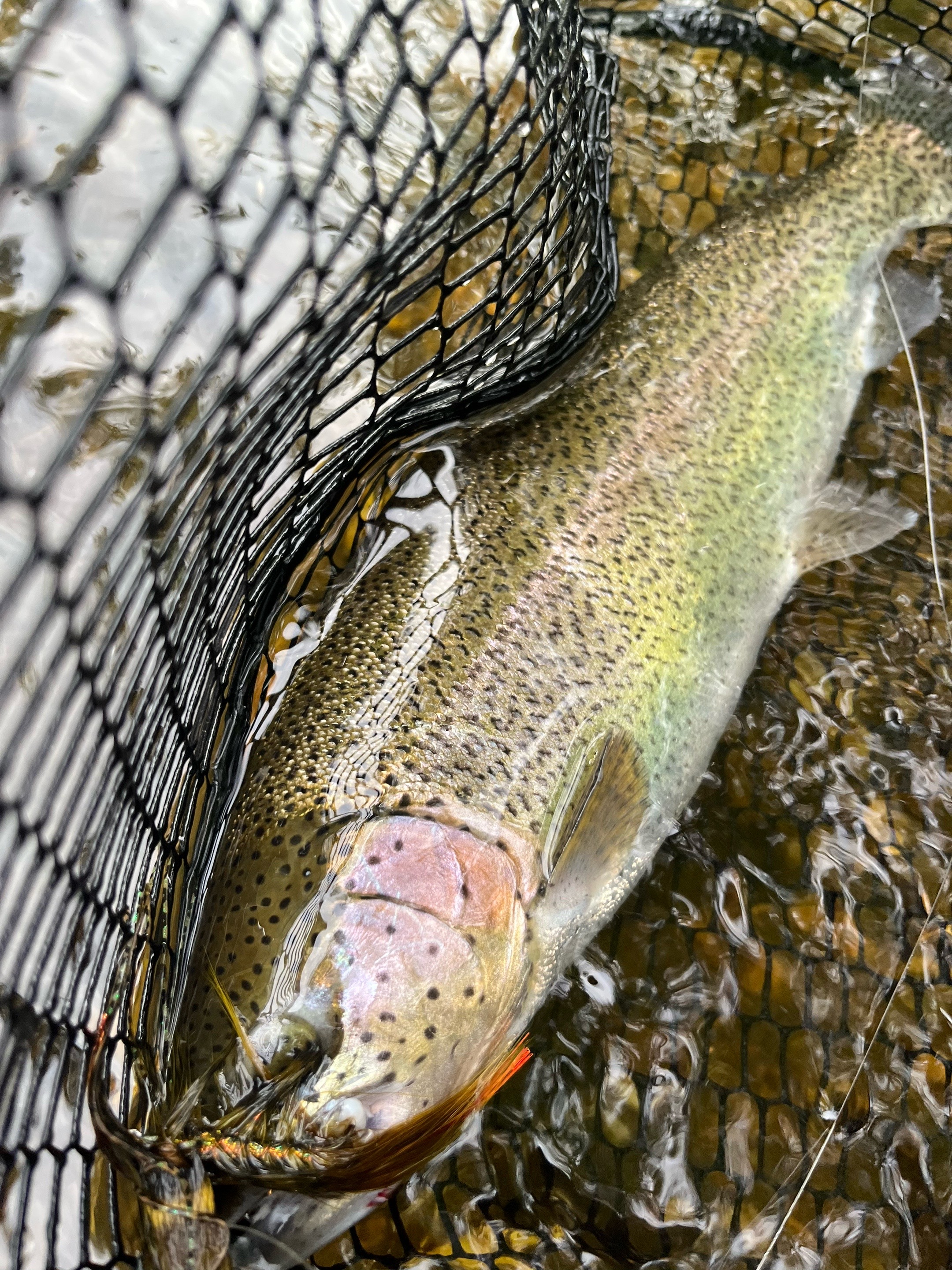 @lucky.hat.fly.fishing