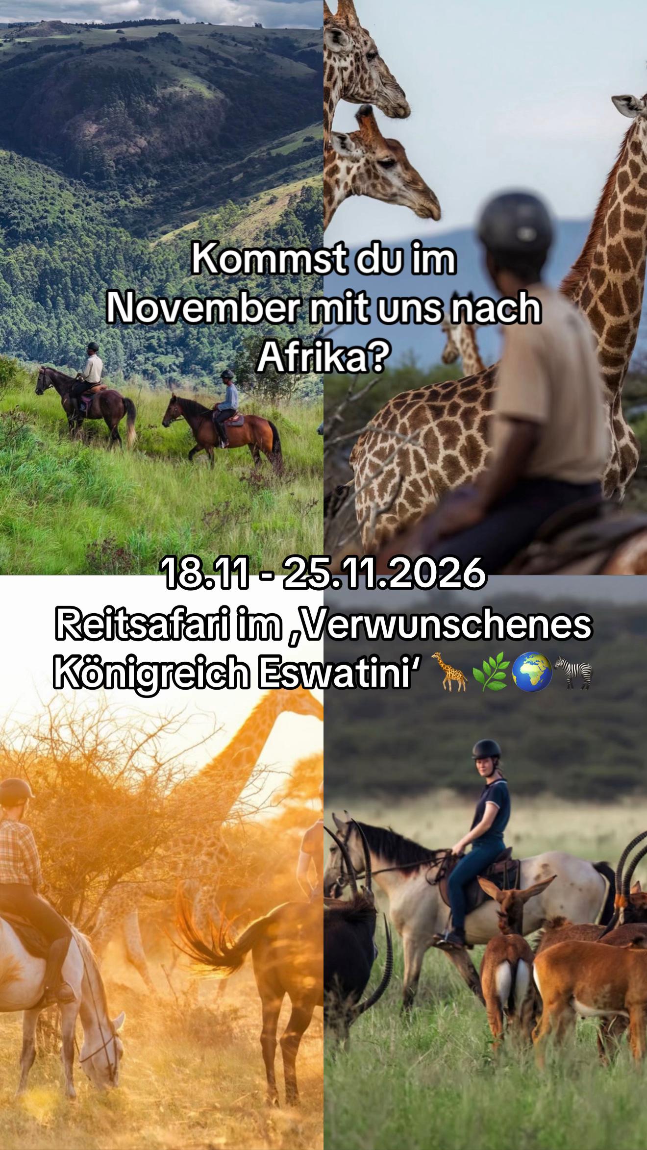 @Hoof & Travel 🐴🌍🐘