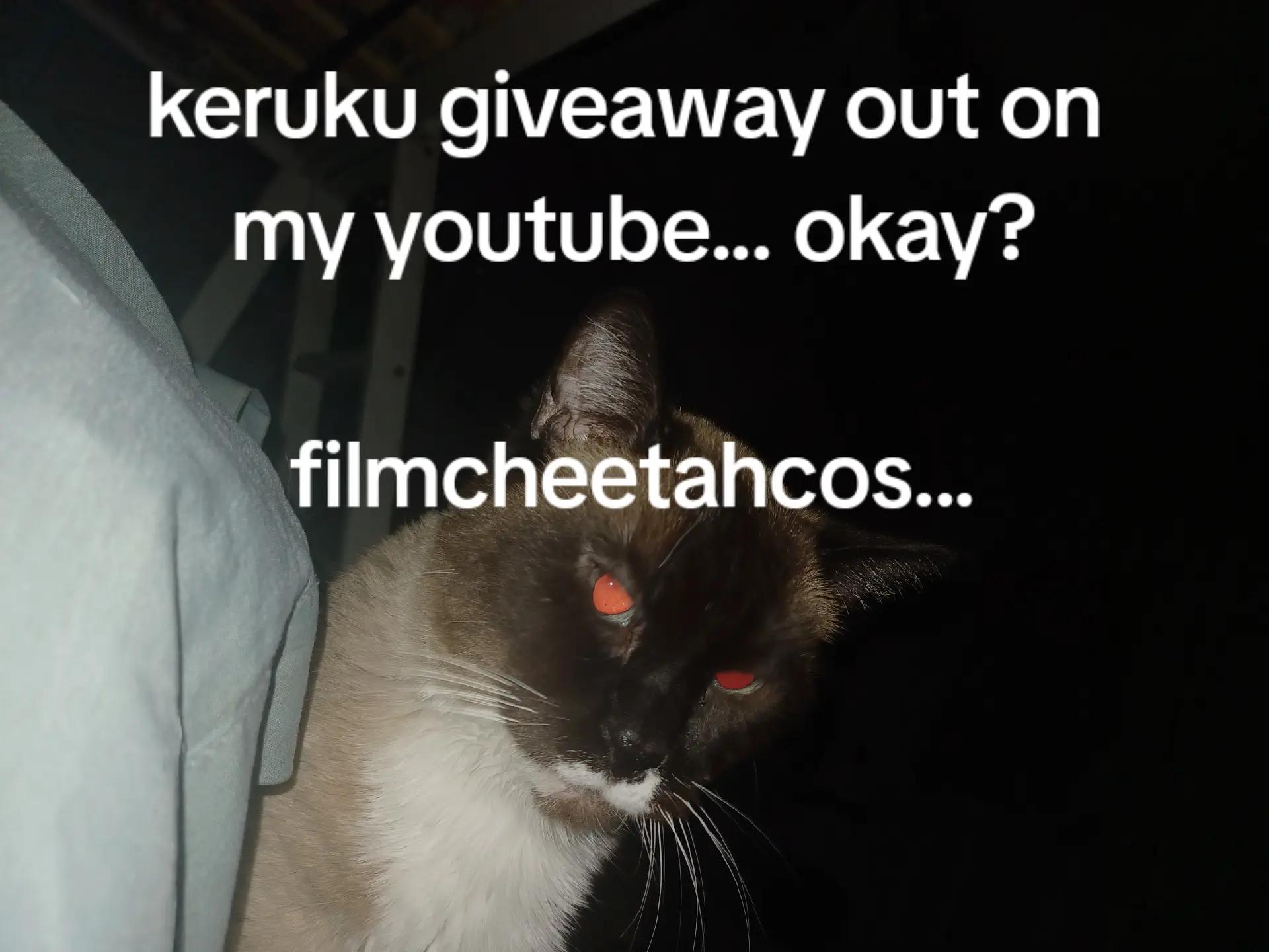 @cheetah ‼️[HIATUS]