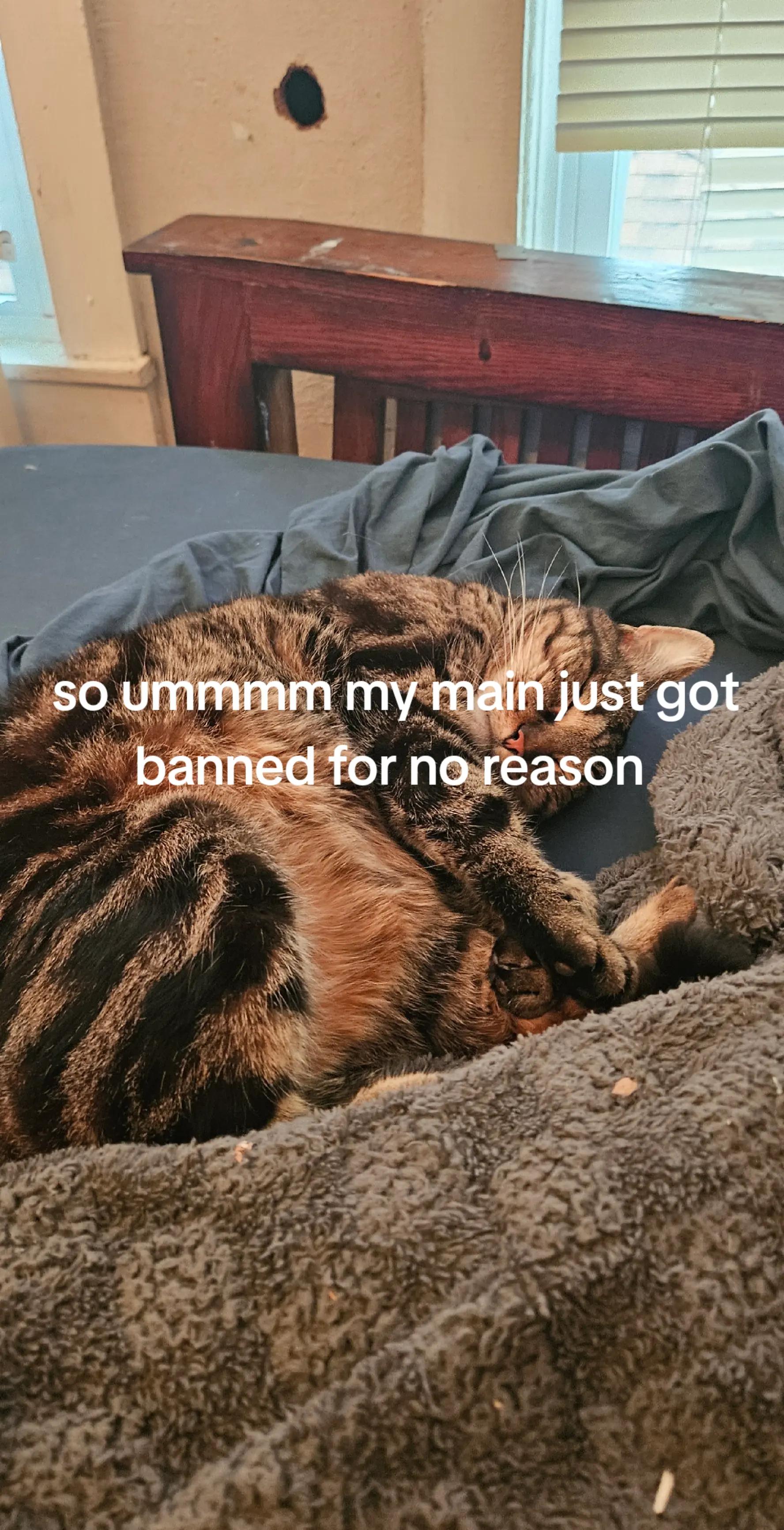 @𝘎𝘤𝘧𝘢𝘮🪭